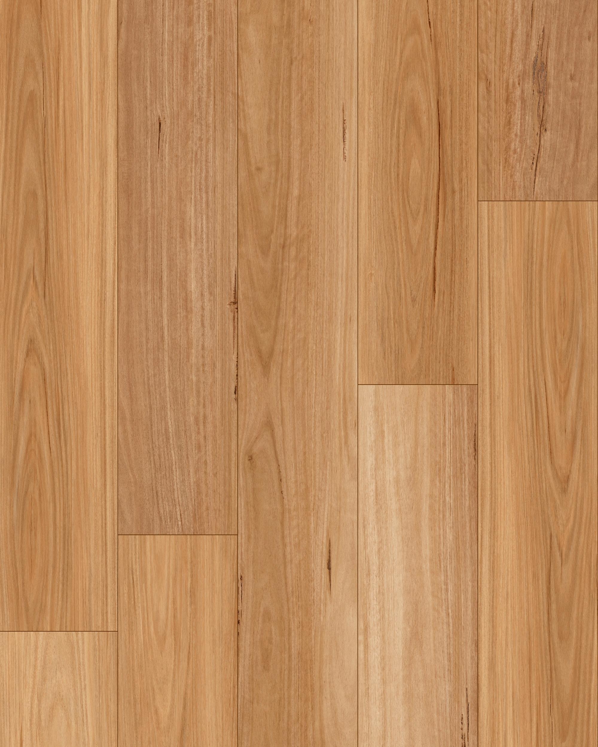 Native Blackbutt install