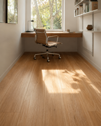 Native Blackbutt render