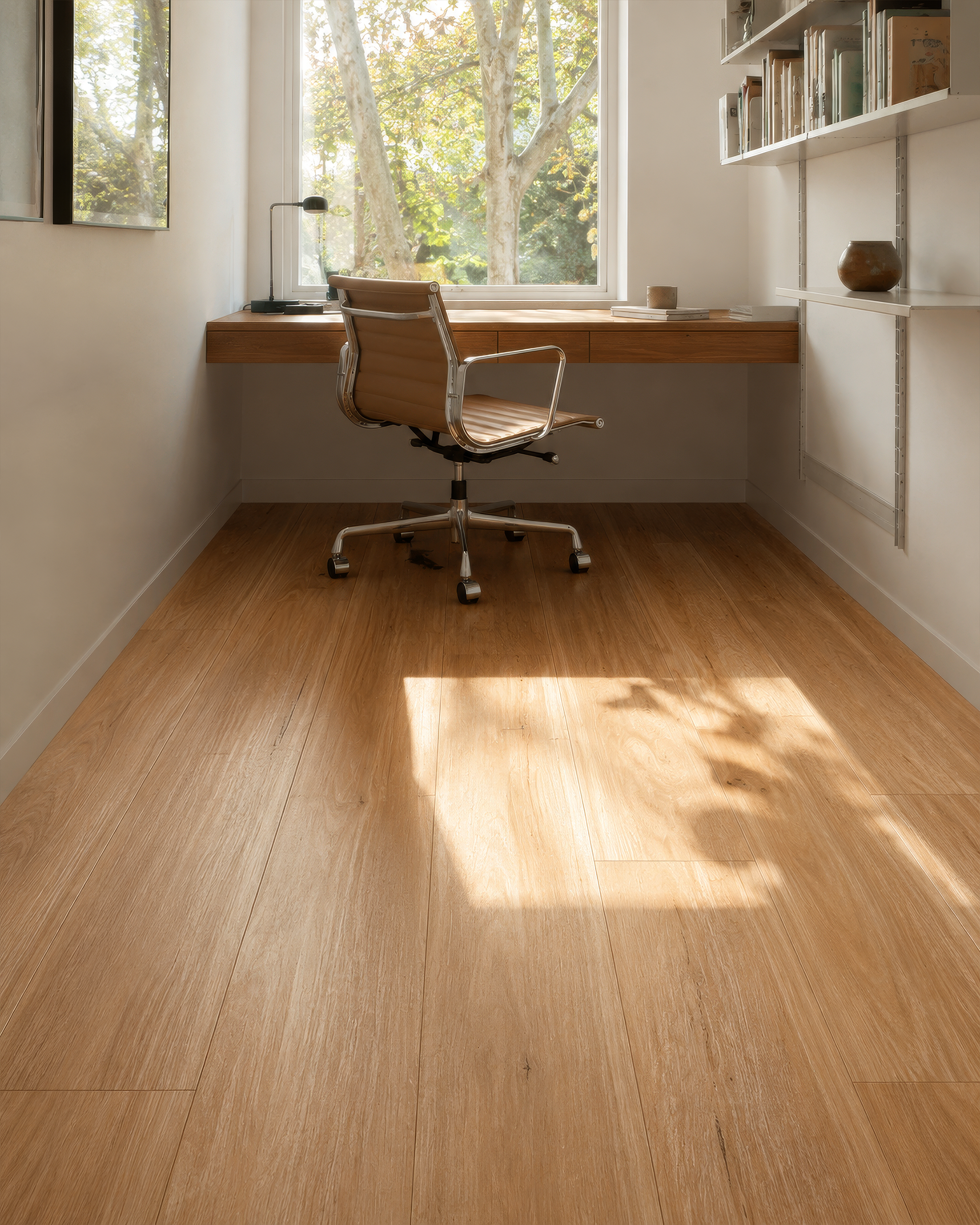 Native Blackbutt render