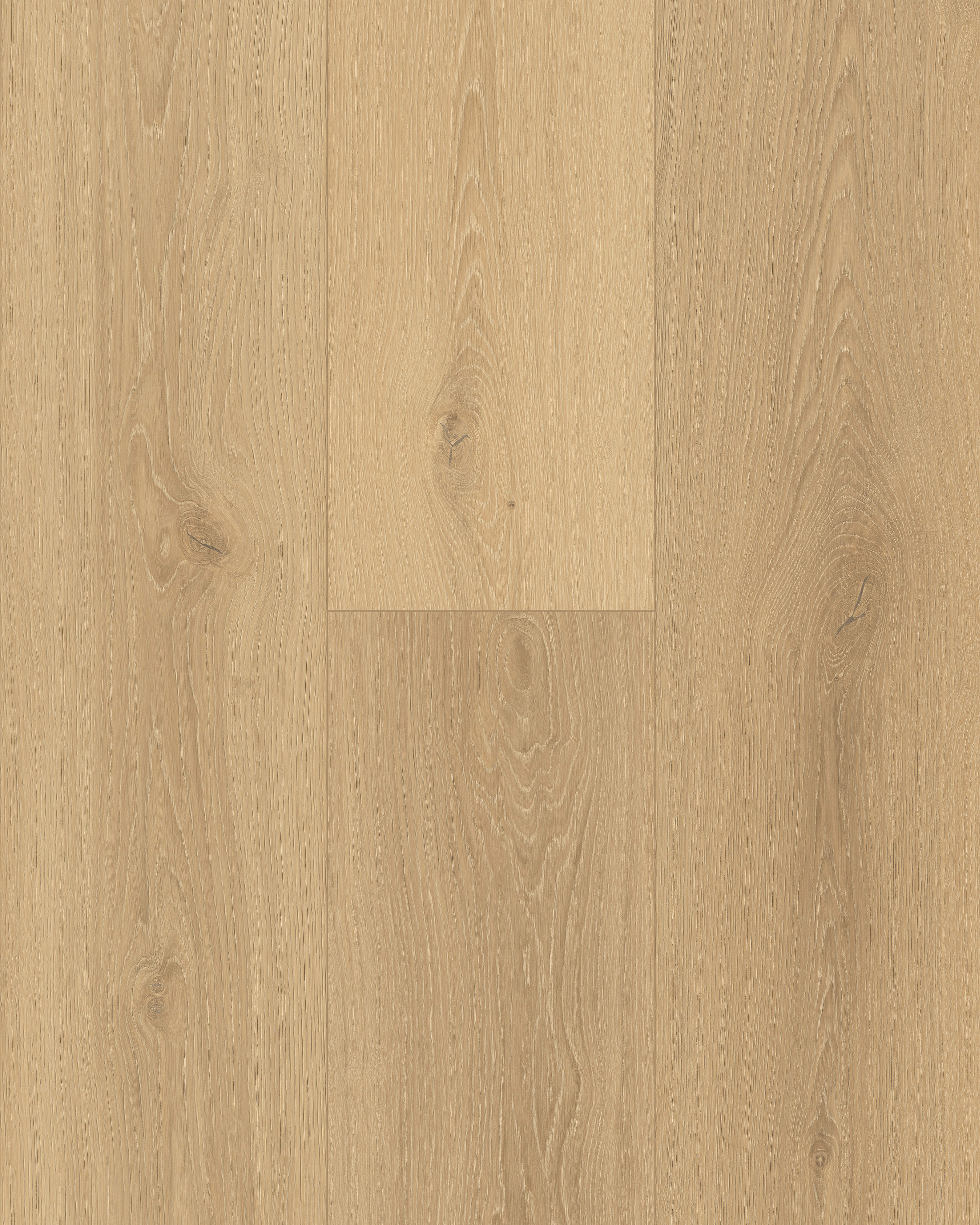 Light Cappuccino laminate from Pantora Royal Miles by Topdeck Flooring