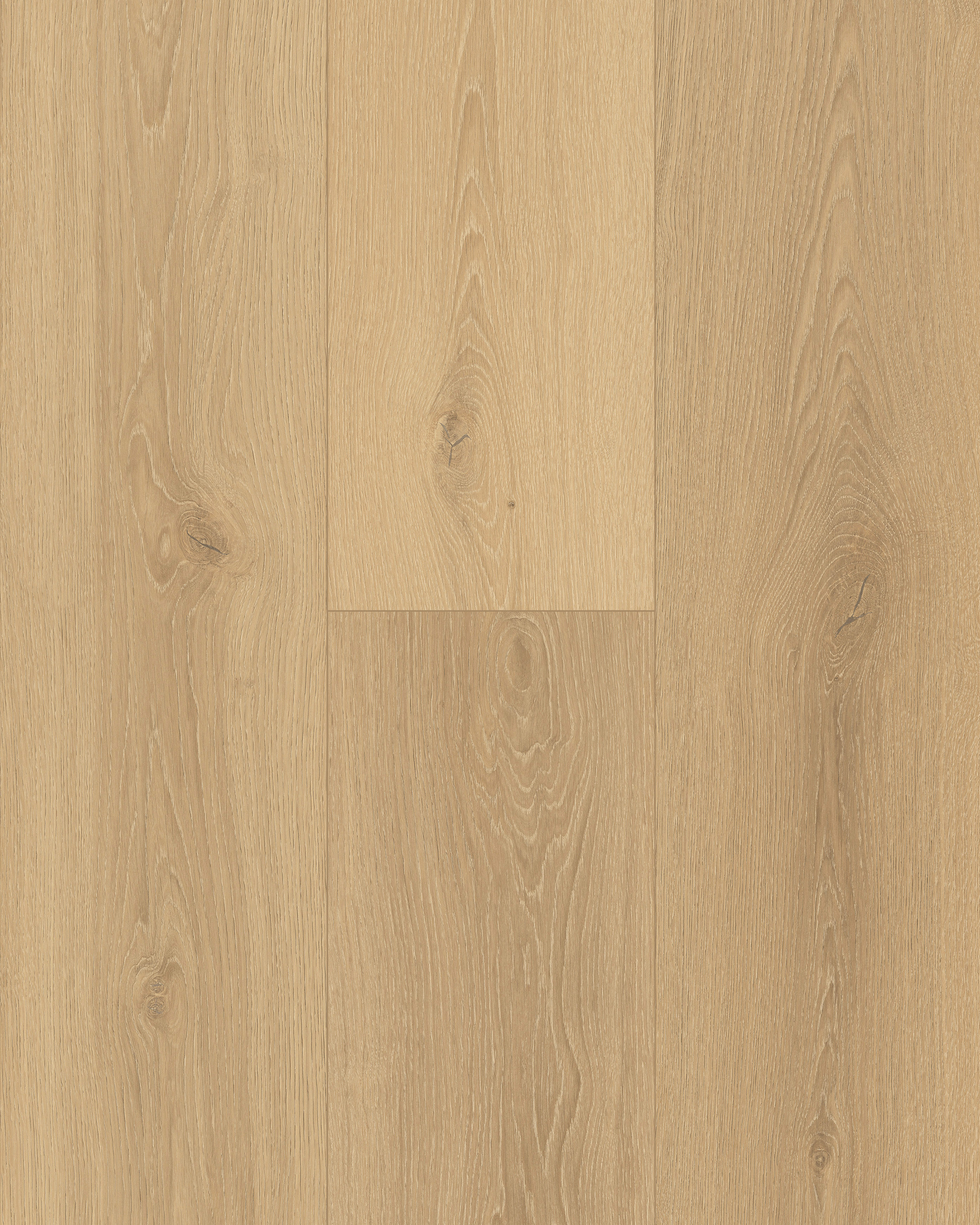Light Cappuccino laminate from Pantora Royal Miles by Topdeck Flooring