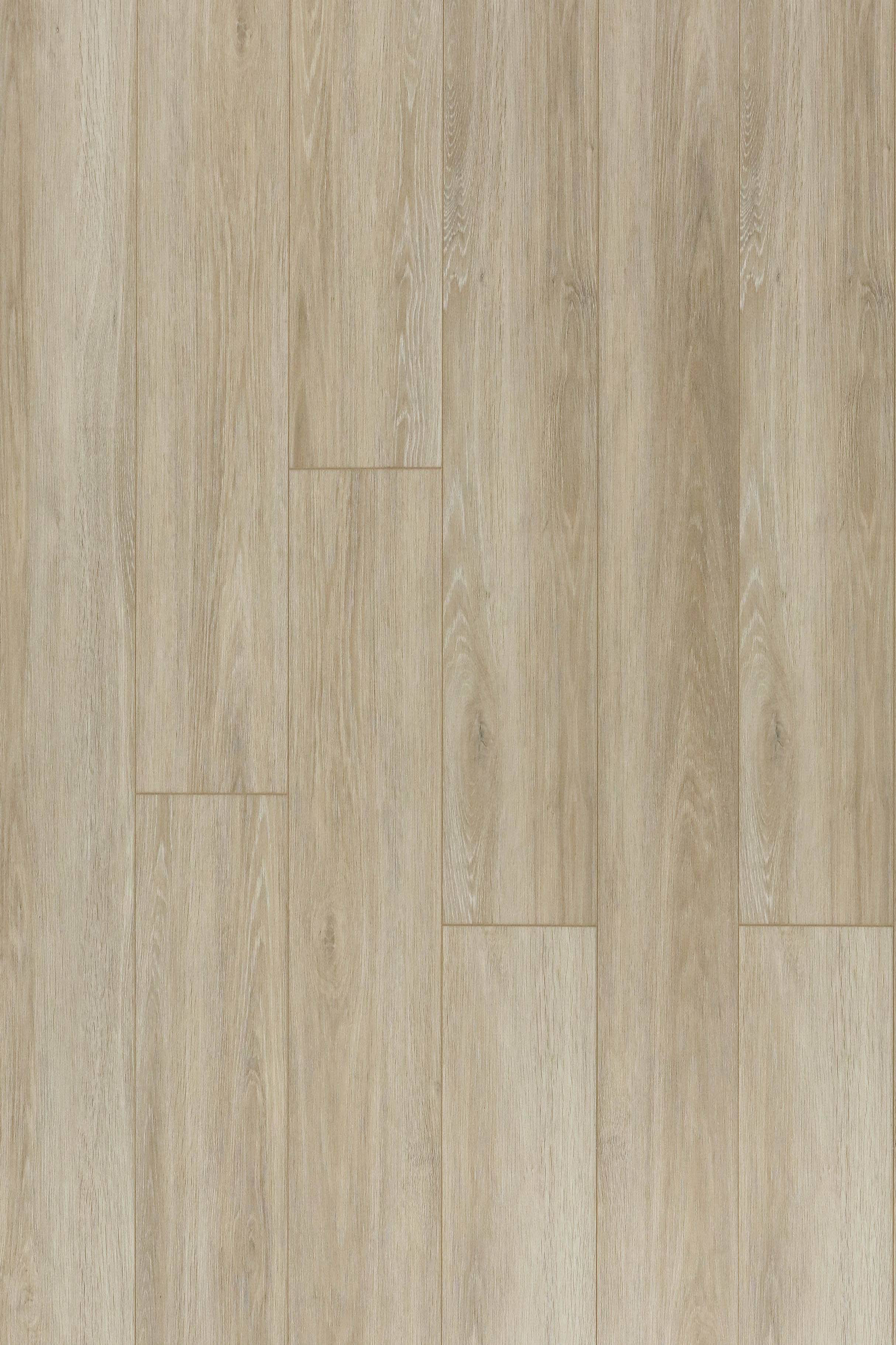 Royal White Oak — Storm Luxury installed surface detail