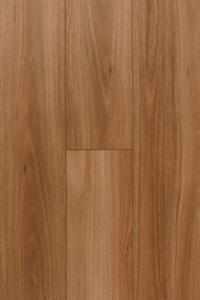 Coastal Blackbutt — Storm Luxury hybrid plank from Topdeck Core
