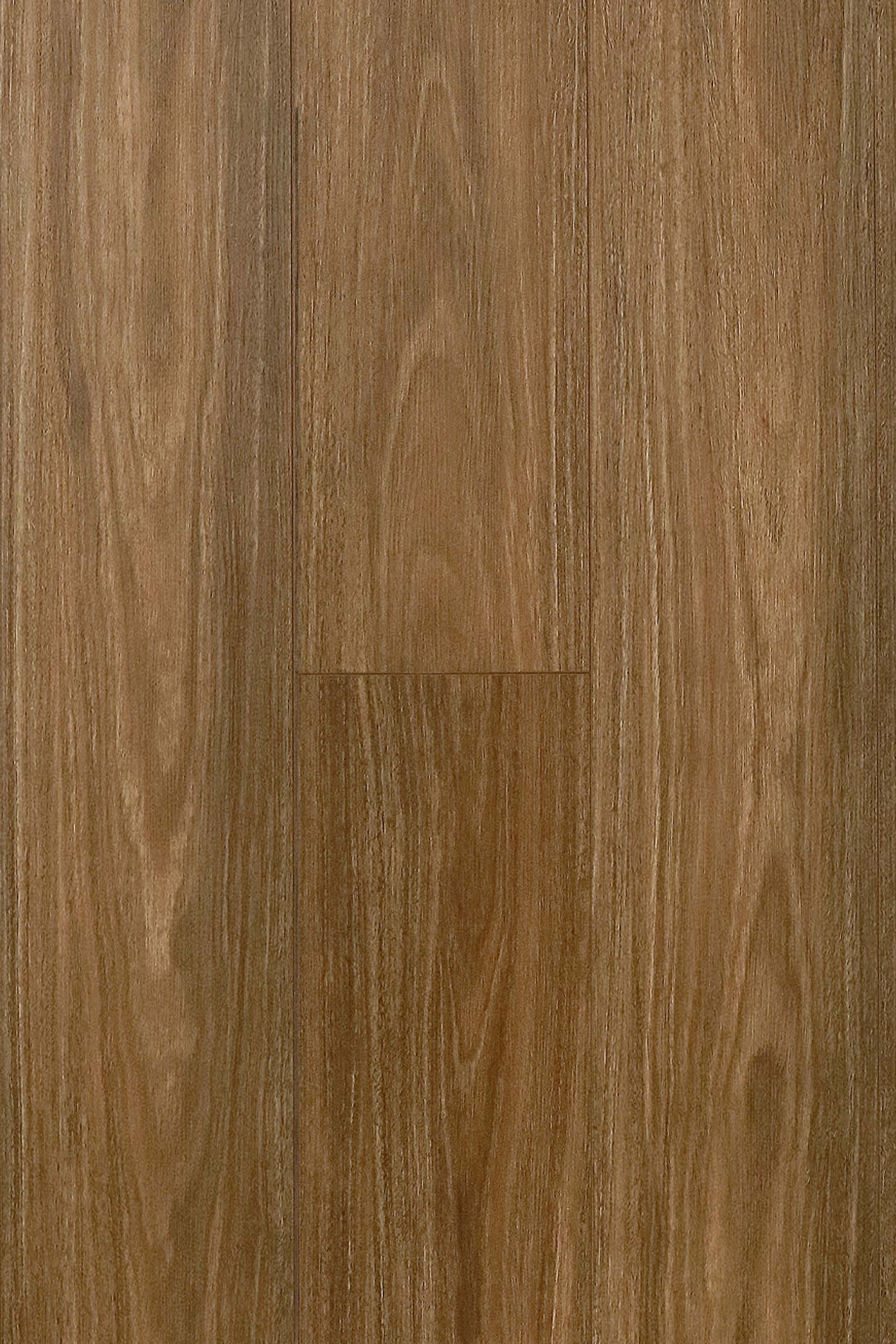 Spotted Gum