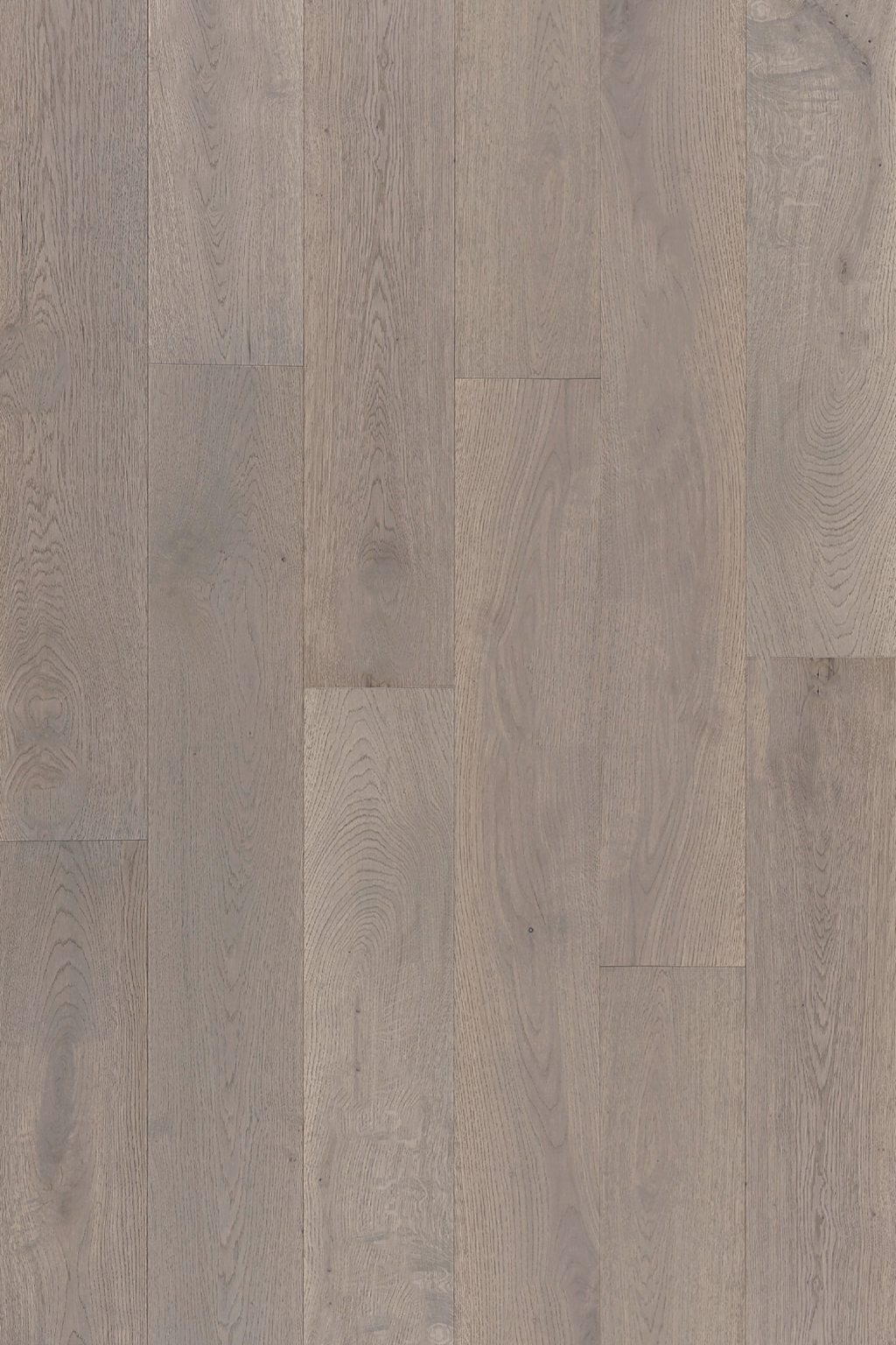 Amaretti Oak — Plank