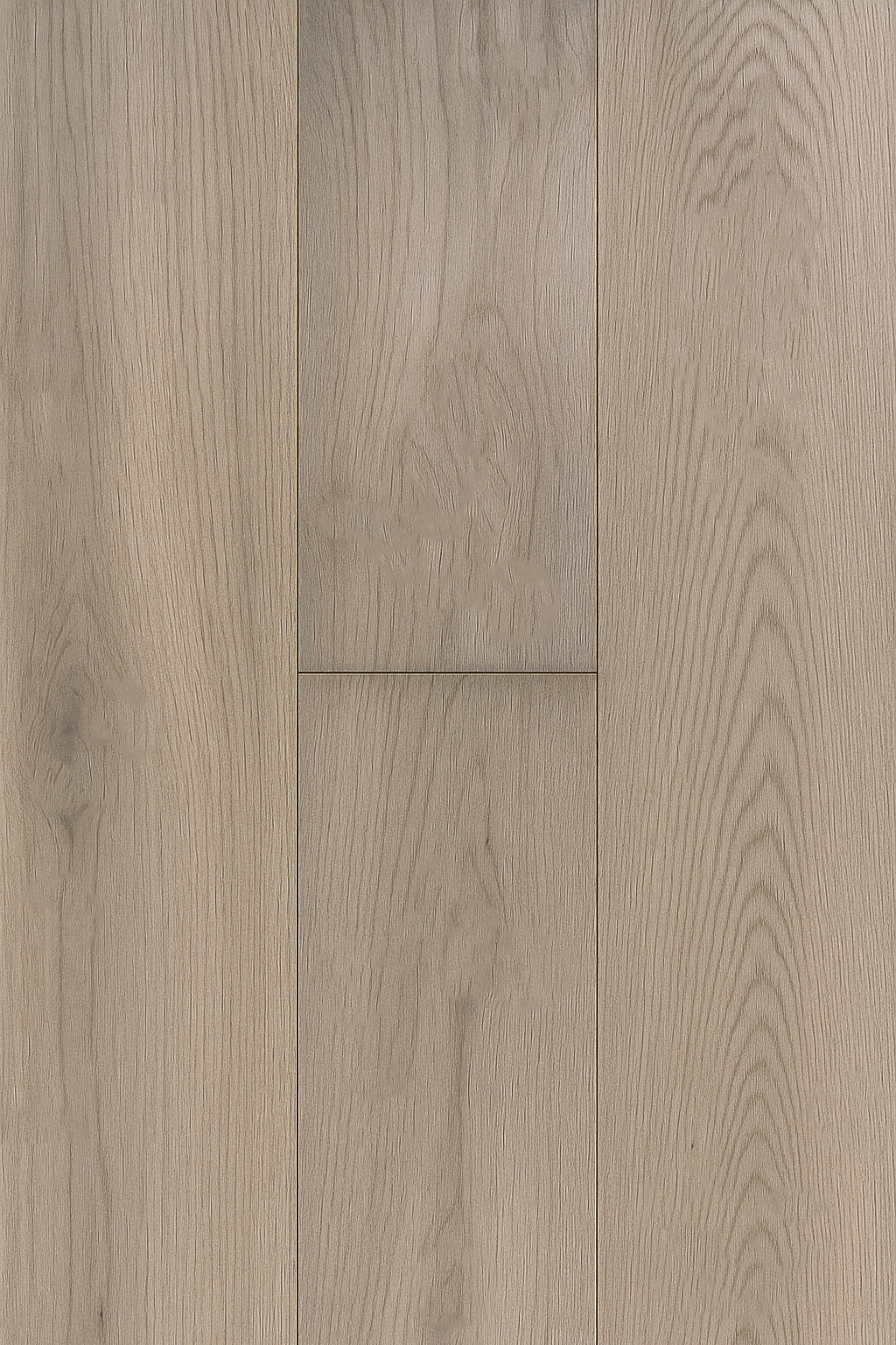 Panania Oak