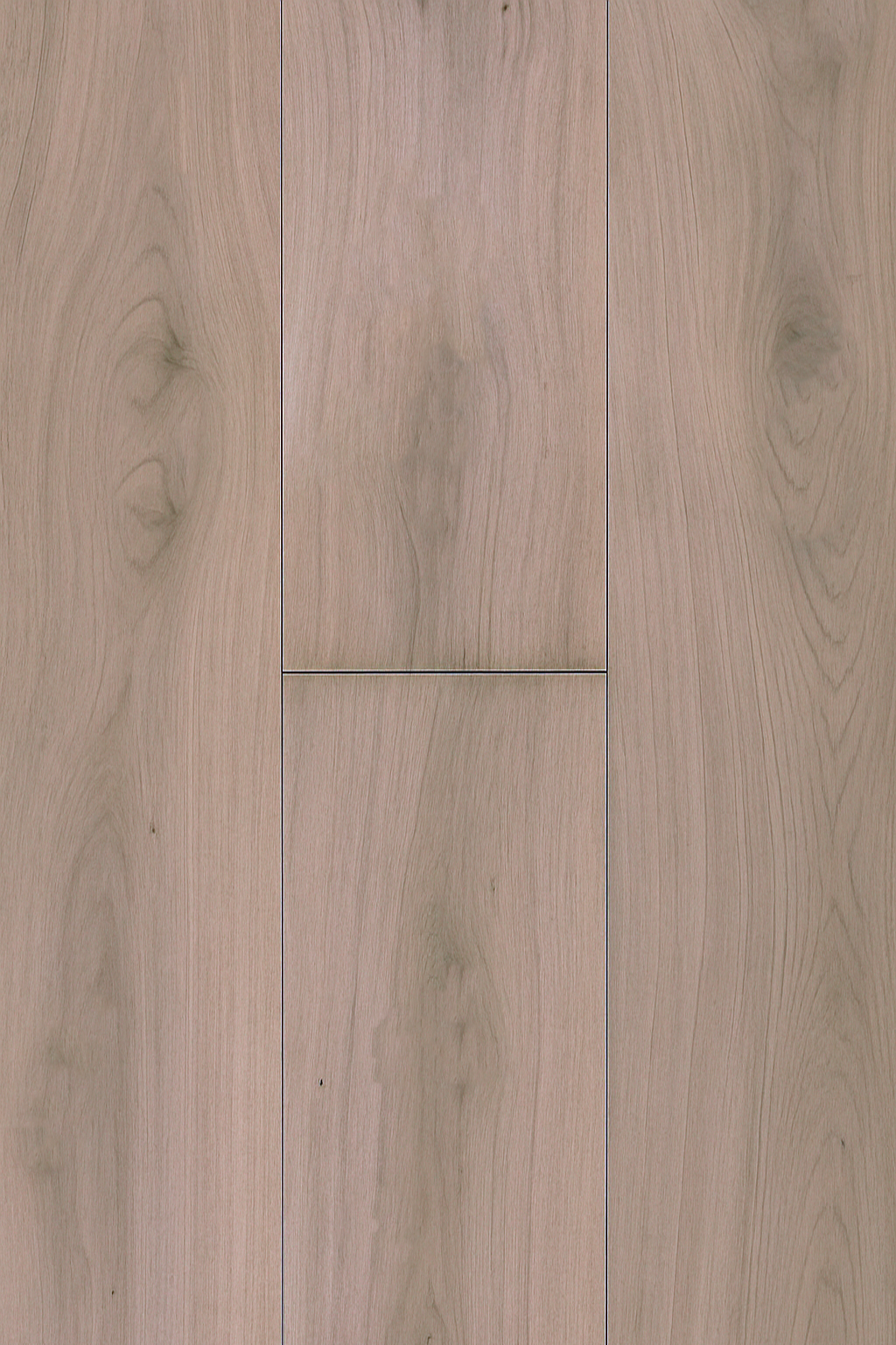 Soft Pale Oak