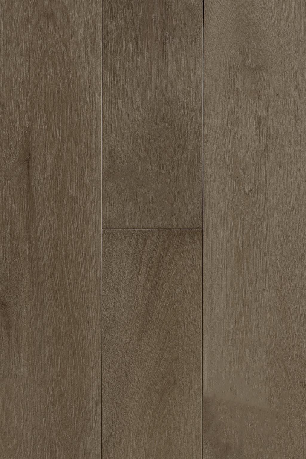 Truffle Oak