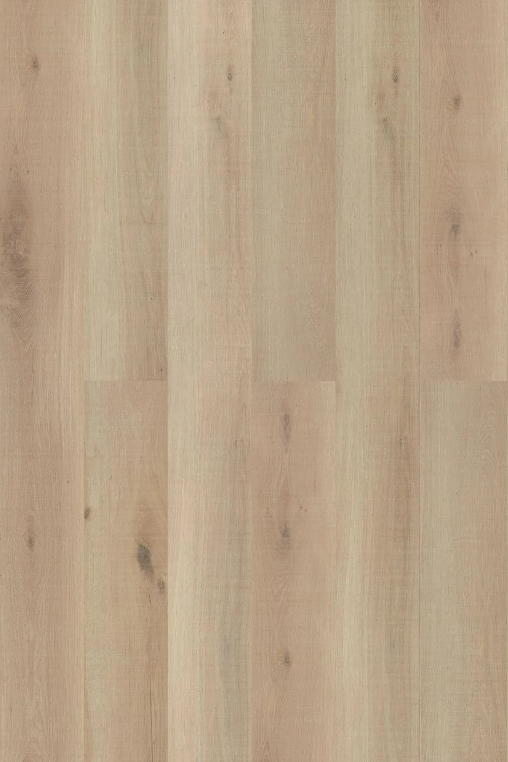 Wheaton Oak — Legend Edition installed surface detail