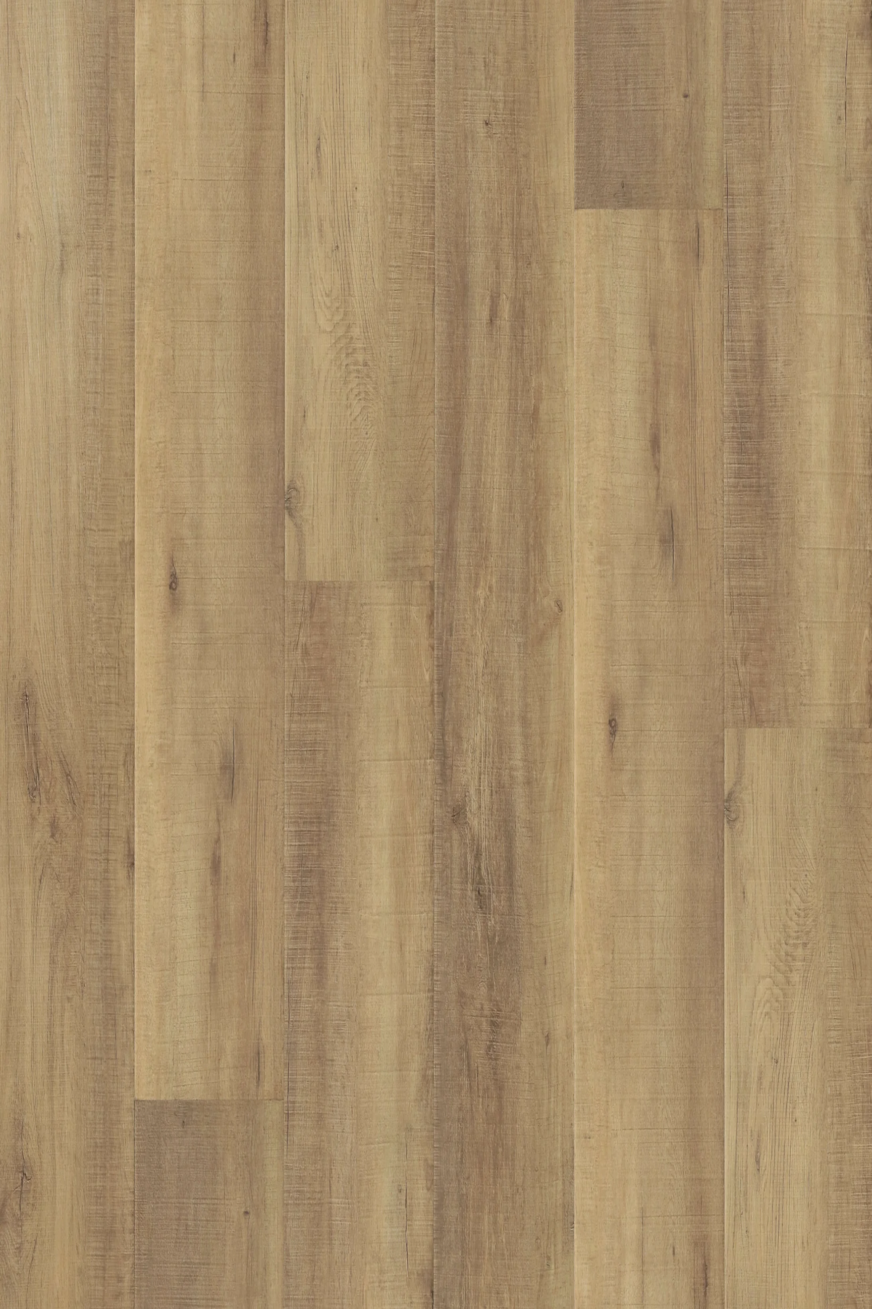Sandcastle Oak — Legend Edition installed surface detail