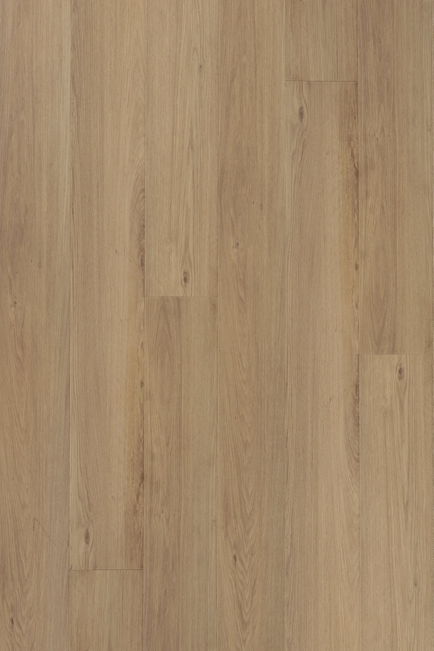 Empire Oak — Legend Edition installed surface detail