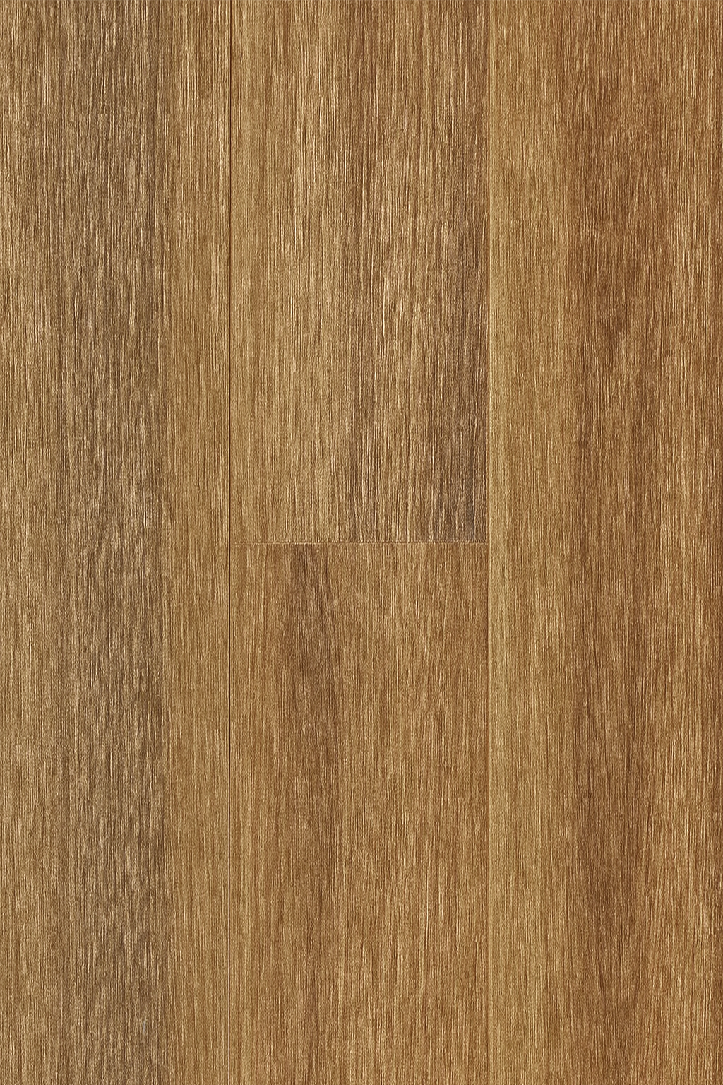 Spotted Gum