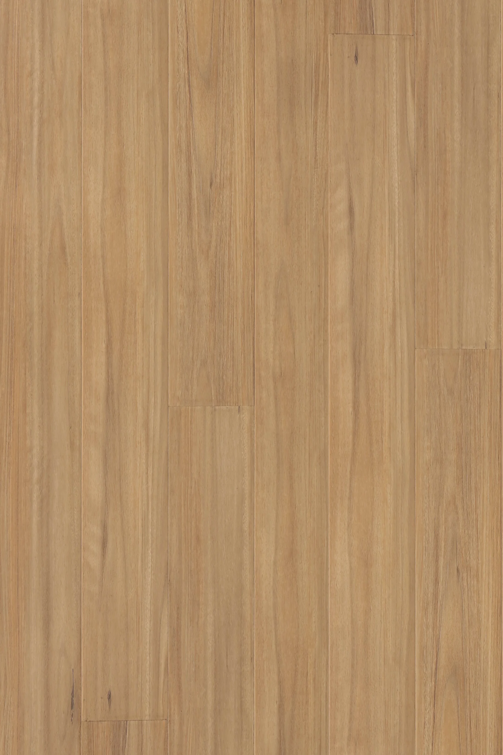 Blackbutt — Legend Edition installed surface detail