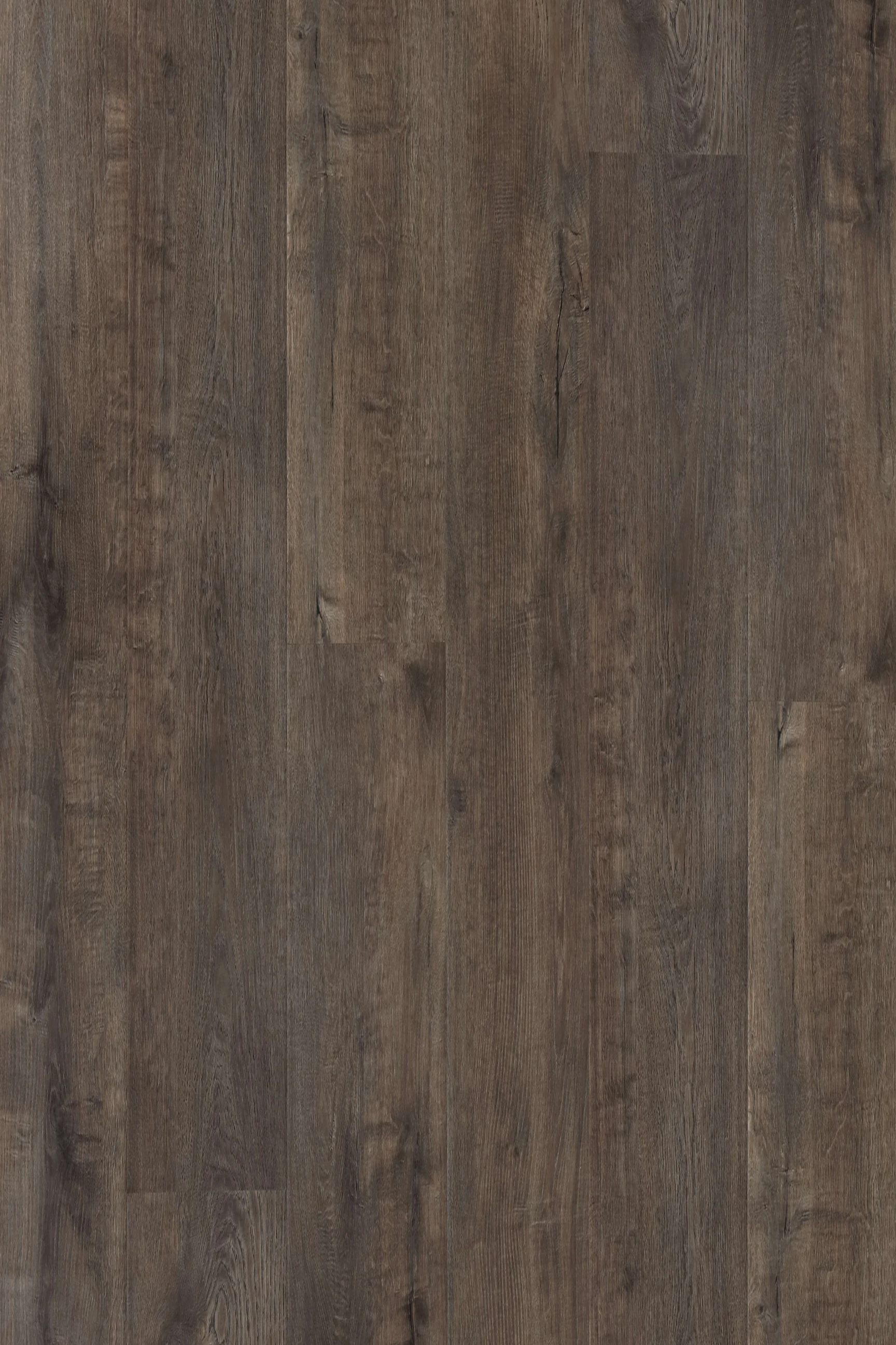 Mainland Brown Oak — Legend Edition installed surface detail