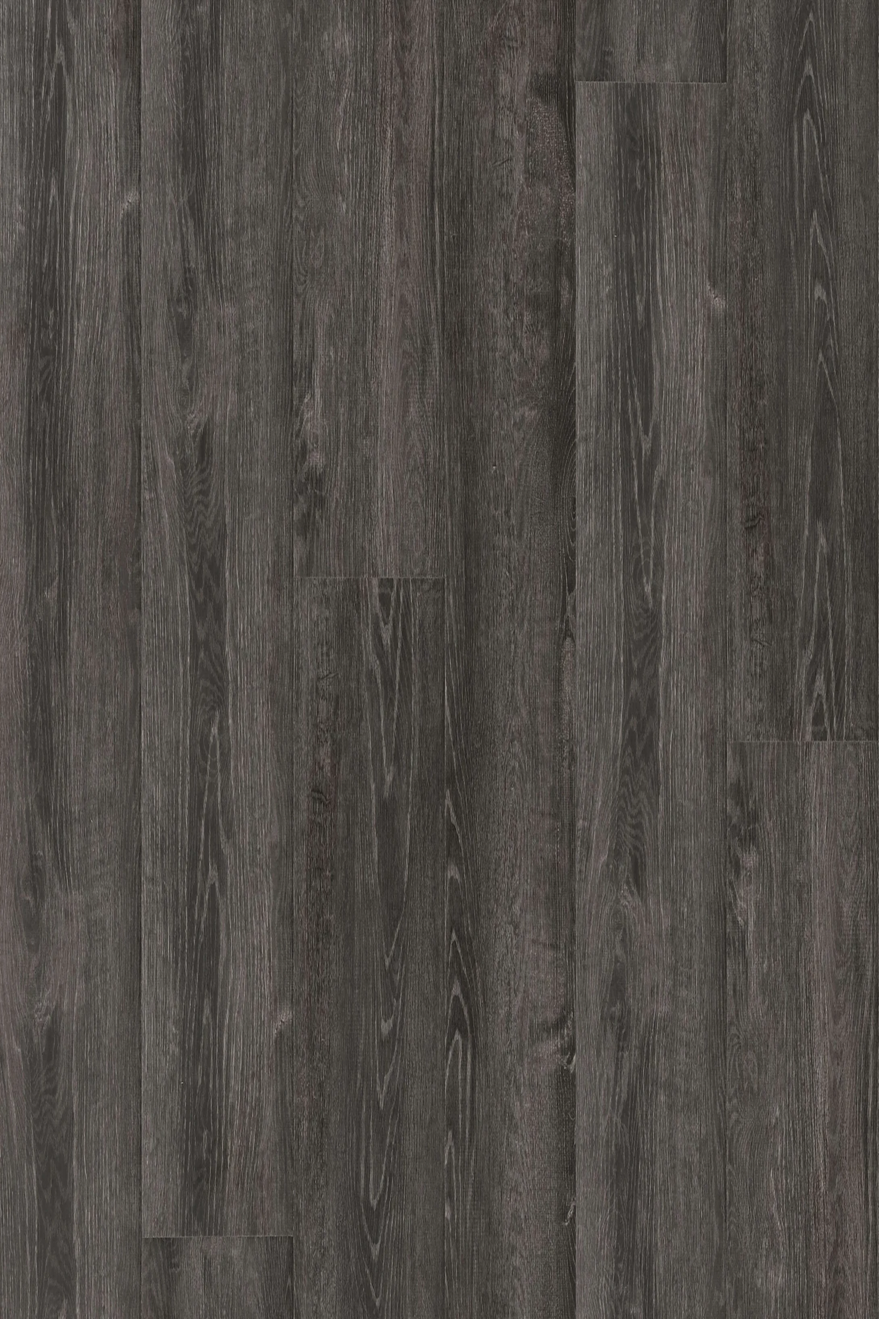 Ghost Oak — Legend Edition installed surface detail