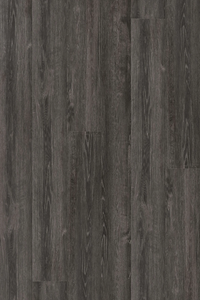 Ghost Oak — Legend Edition installed surface detail