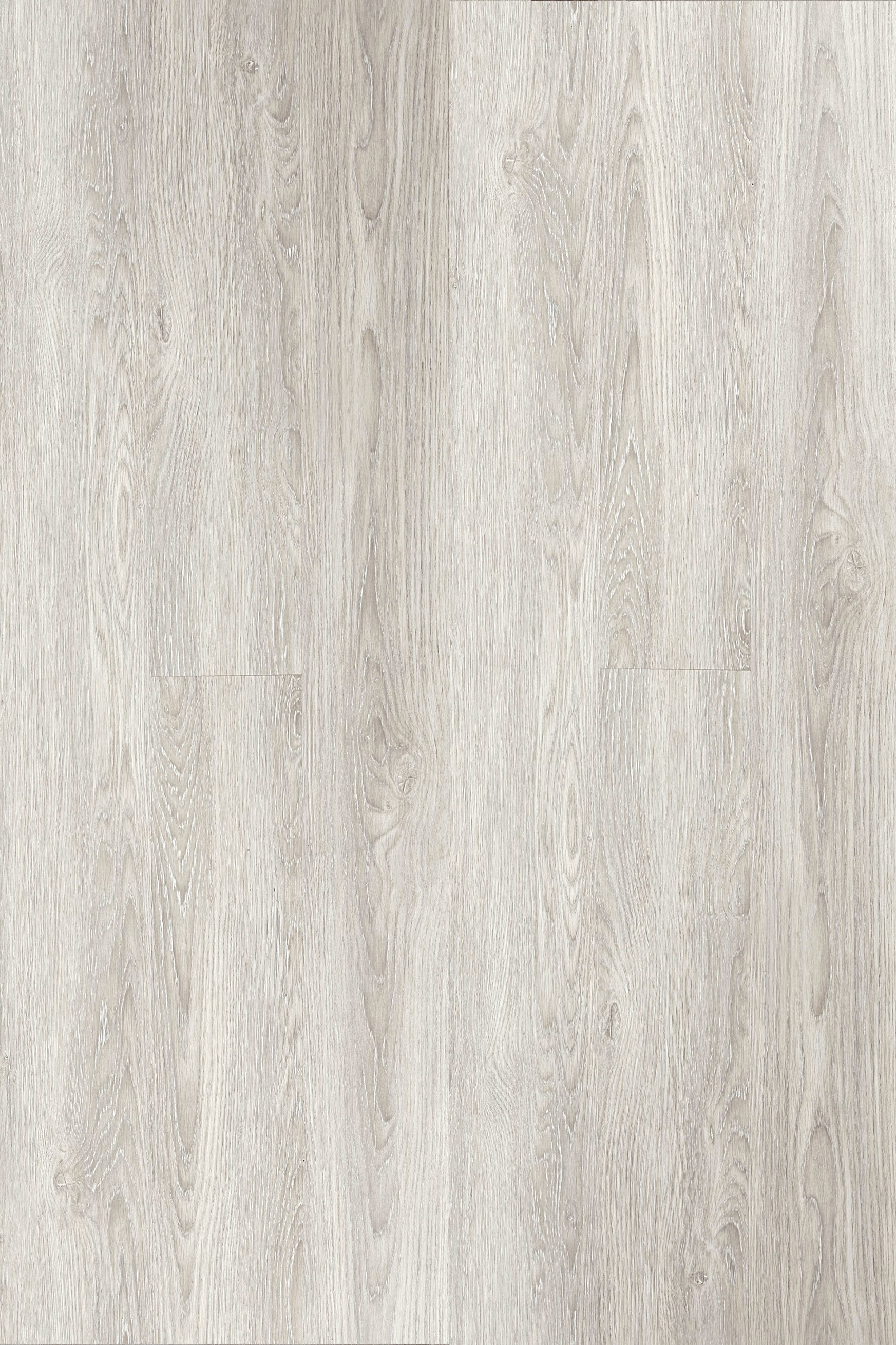 Birch Wood