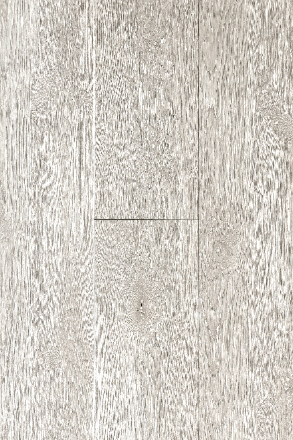 Birch Wood