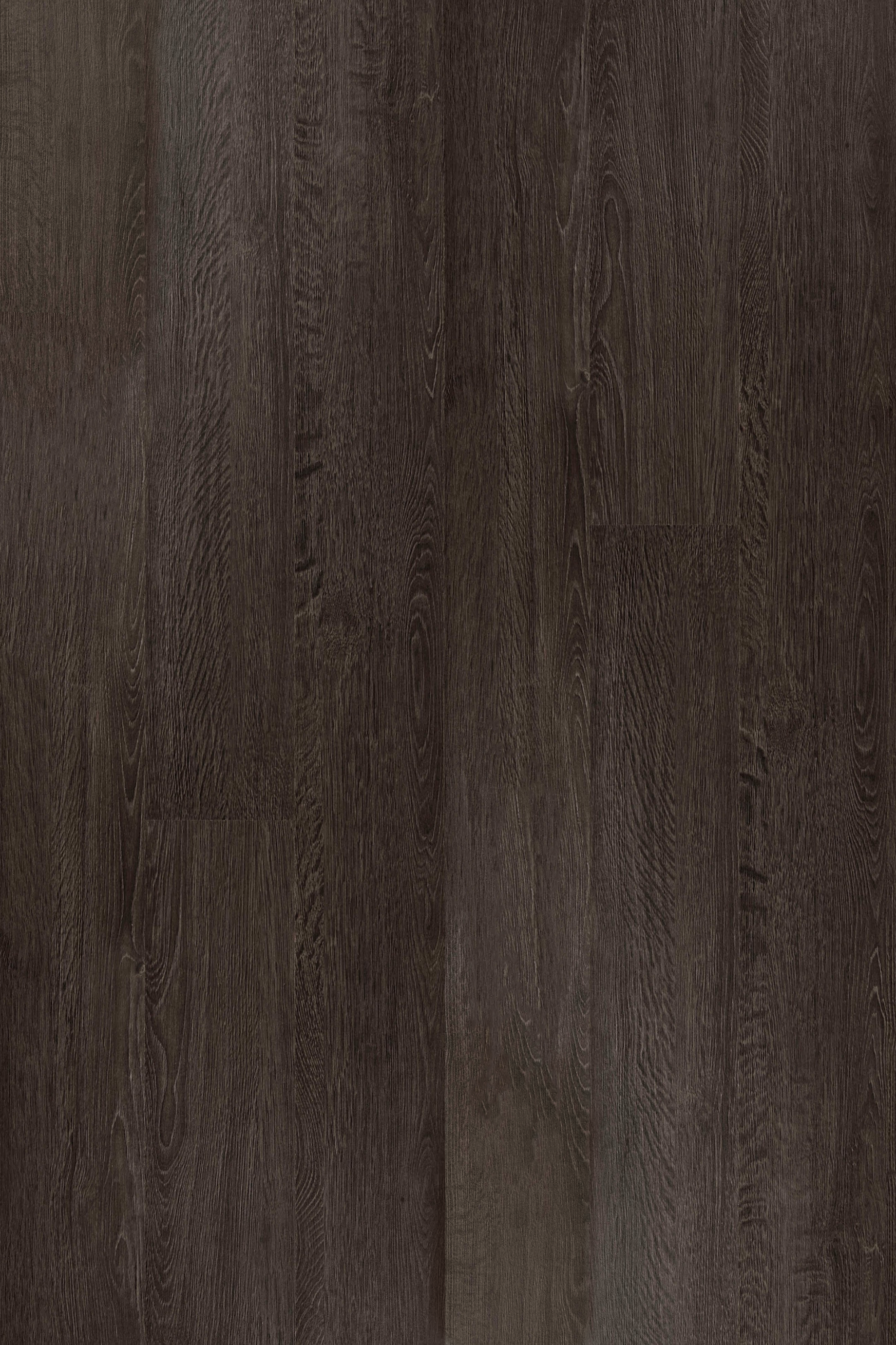 Dark Wood