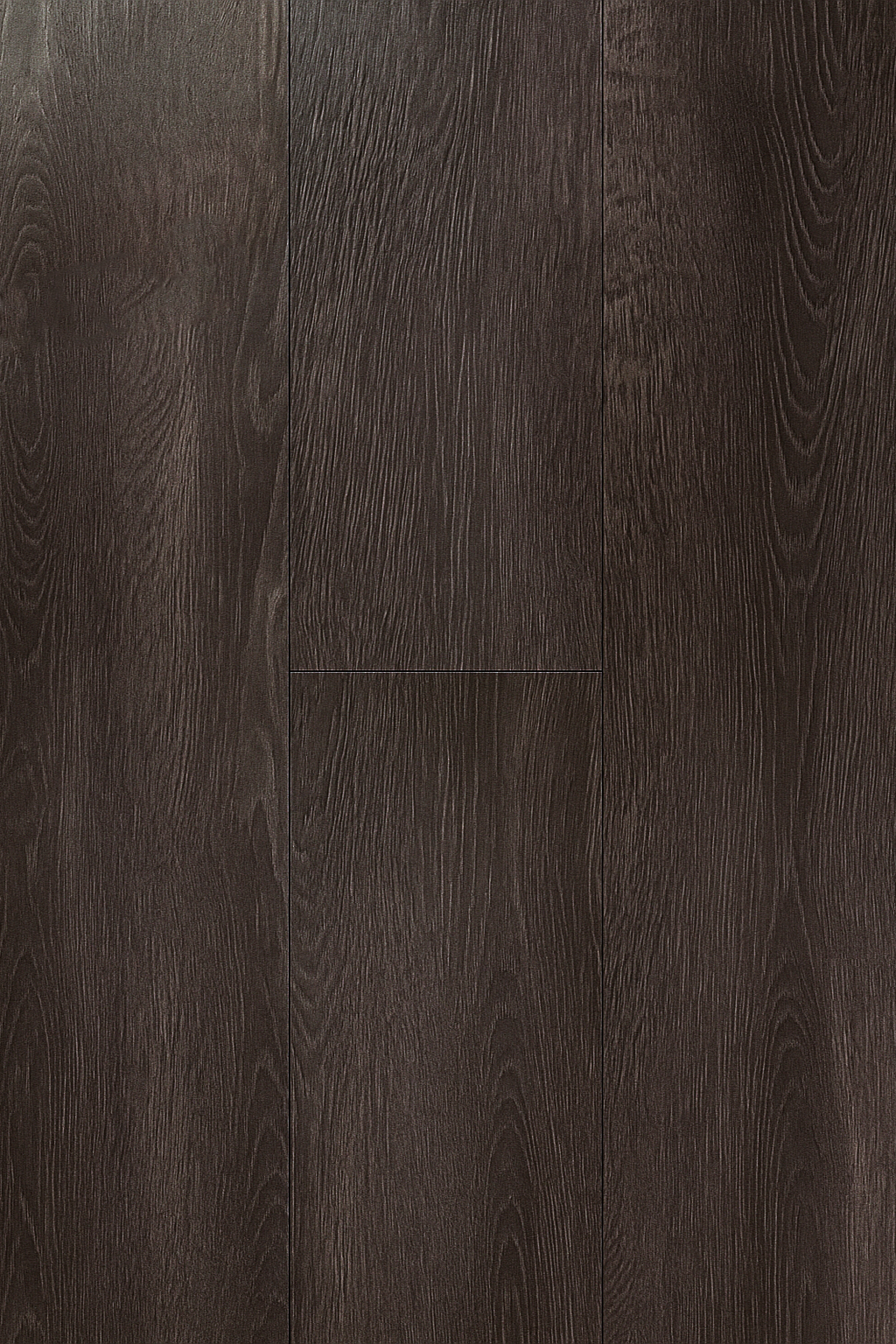 Dark Wood