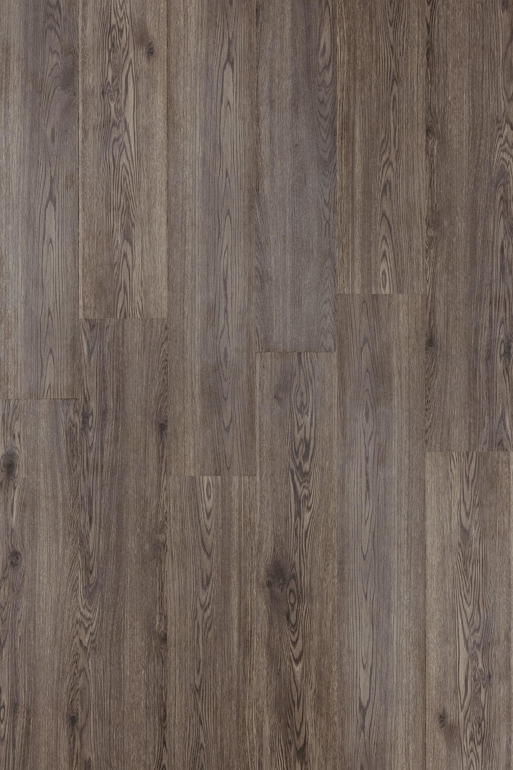 Southern Brown Oak