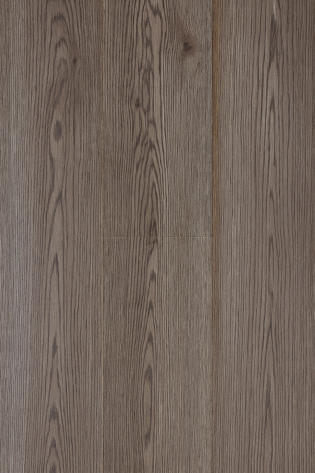 Southern Brown Oak