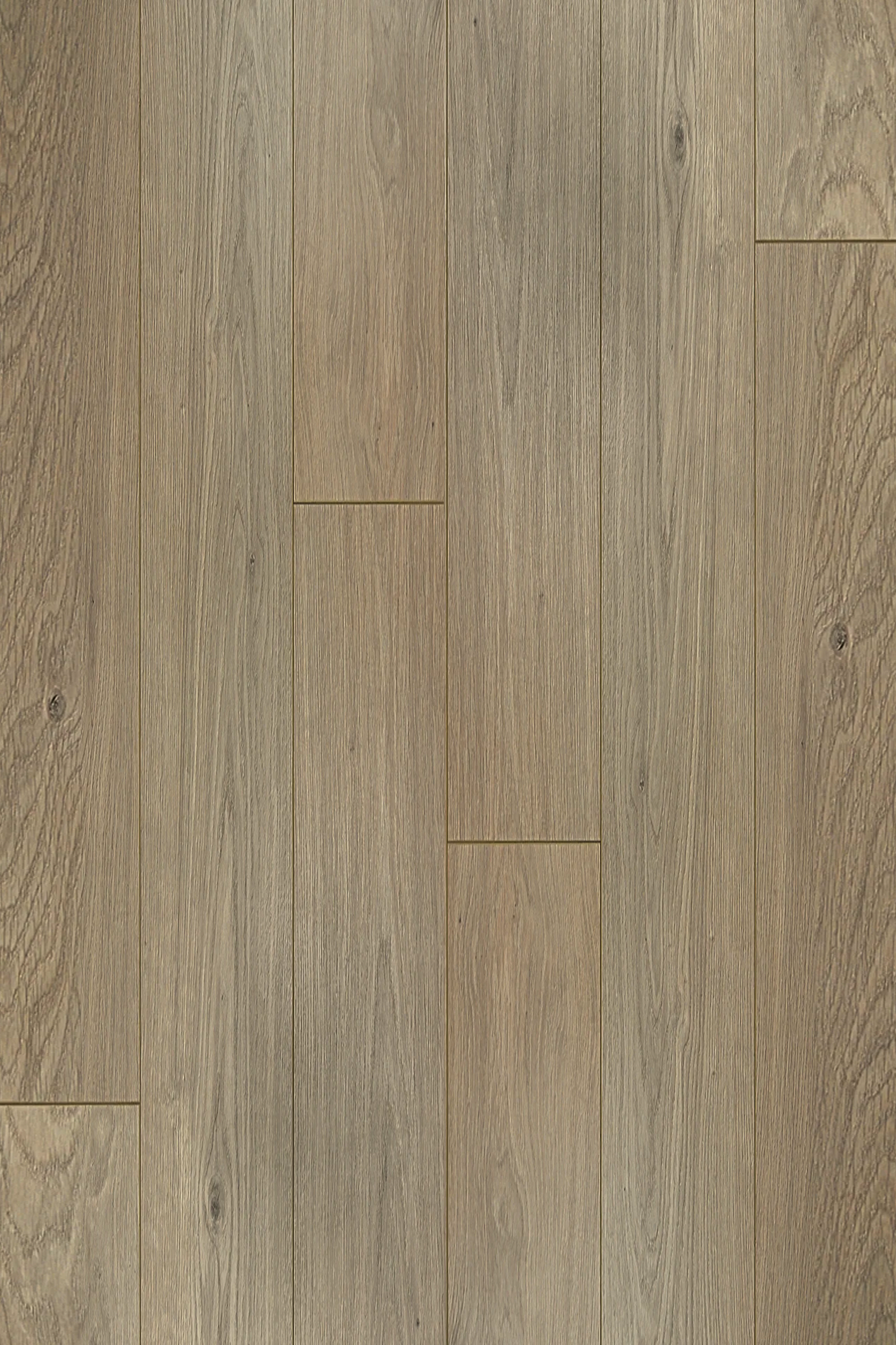 Verona Oak — Contemporary Plus Edition installed surface detail