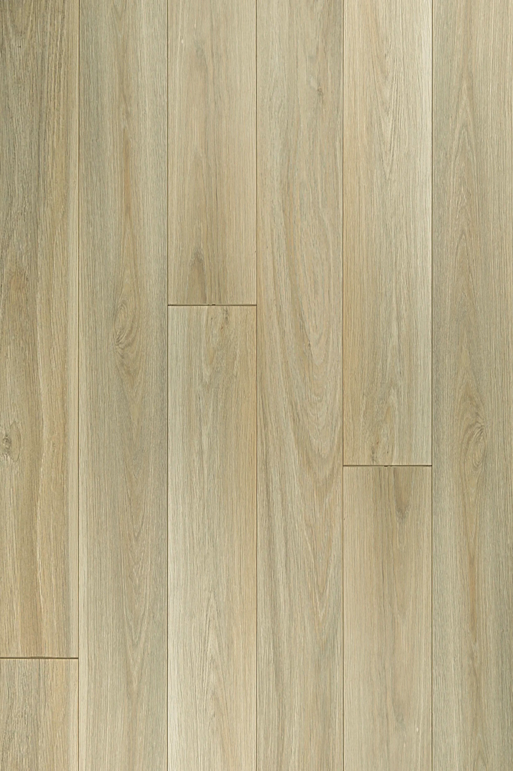 Aspen Oak — Contemporary Plus Edition installed surface detail