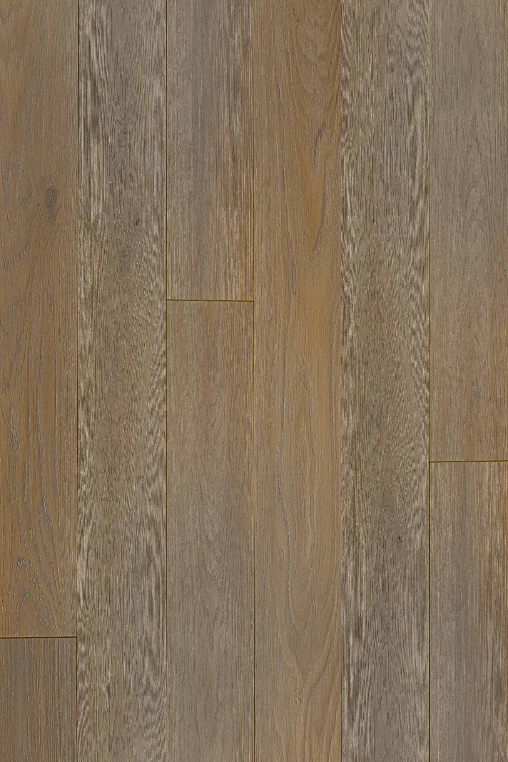 French Beige — Contemporary Plus Edition installed surface detail