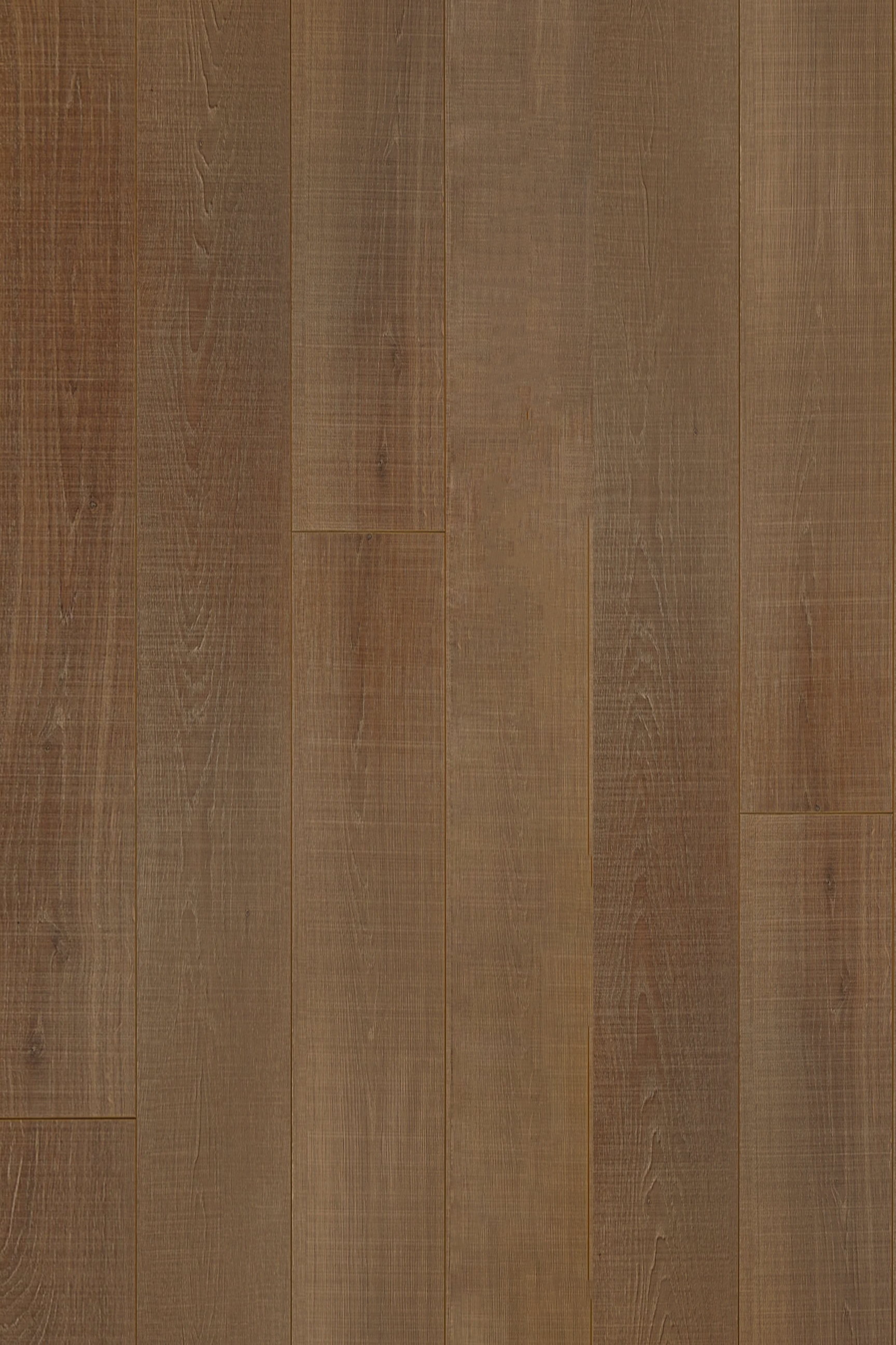 Soft Cavalry Oak — Contemporary Plus Edition installed surface detail