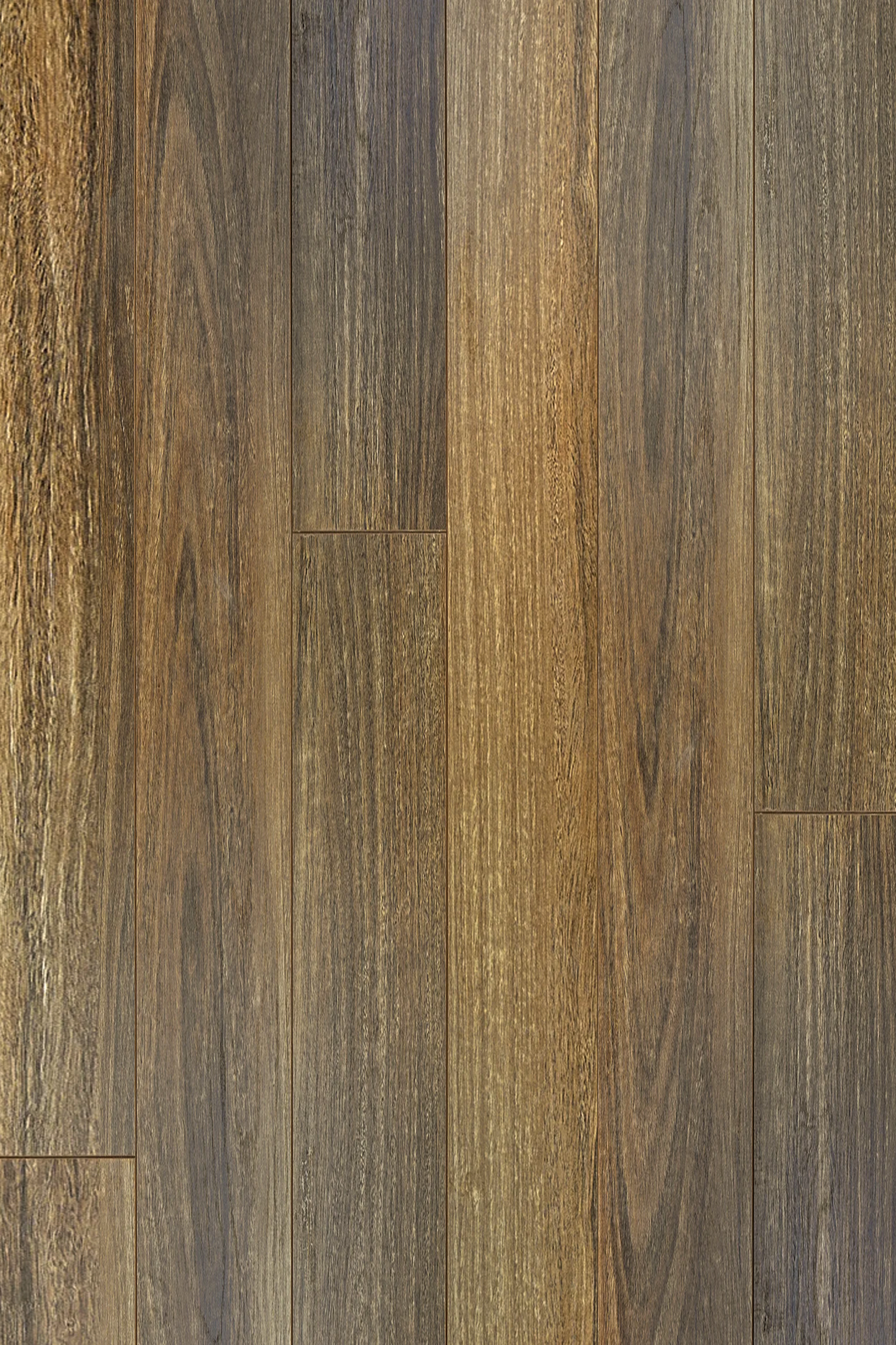 QLD Spotted Gum — Contemporary Plus Edition installed surface detail
