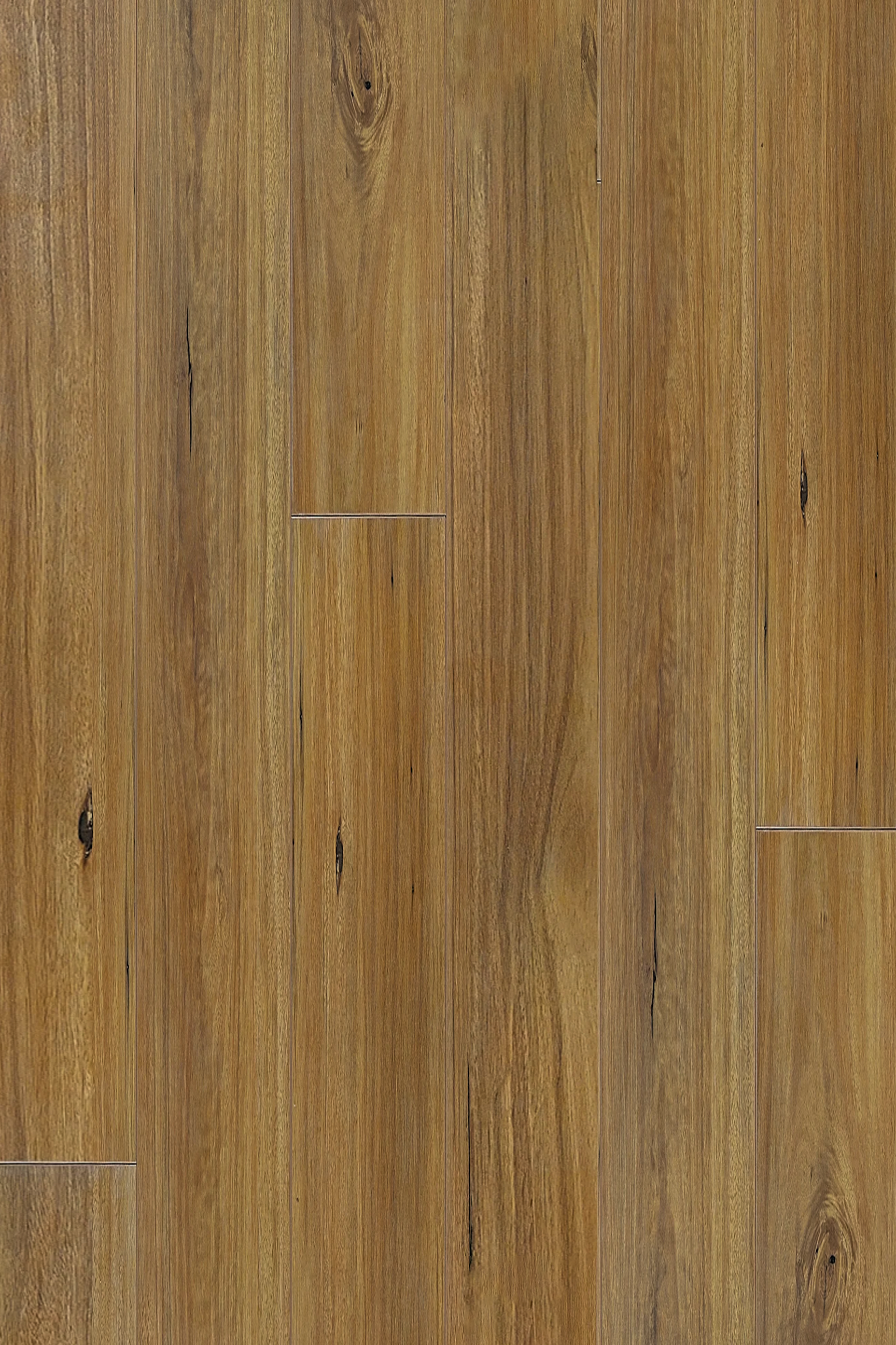 New England Blackbutt — Contemporary Plus Edition installed surface detail