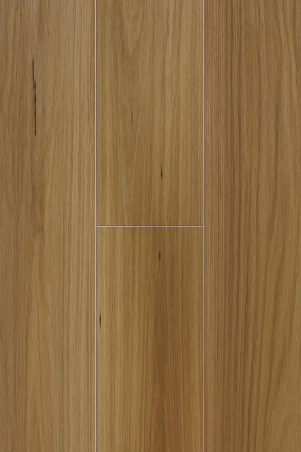 New England Blackbutt — Contemporary Plus Edition prime laminate plank from Topdeck Core