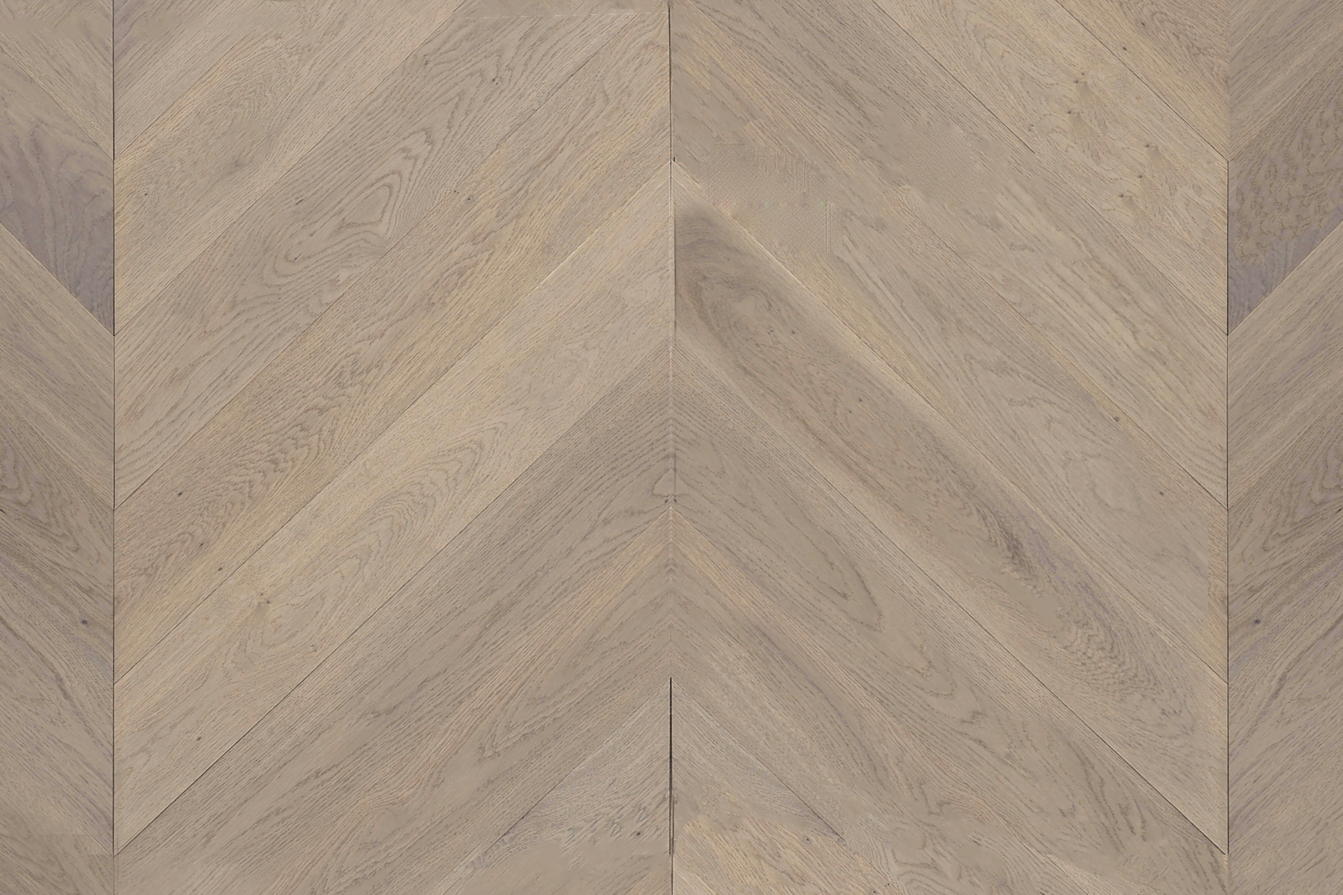 Panania Oak