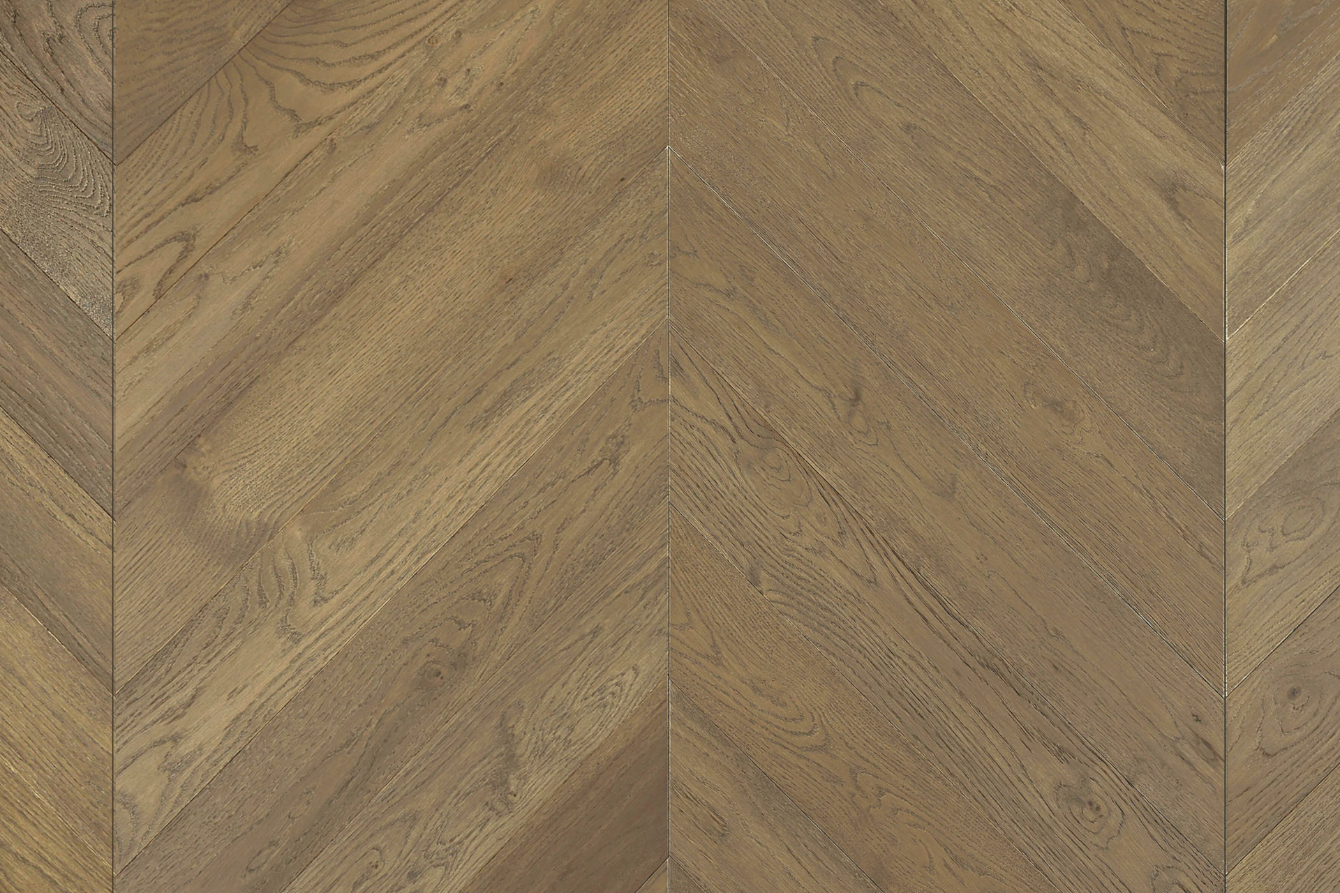 Truffle Oak