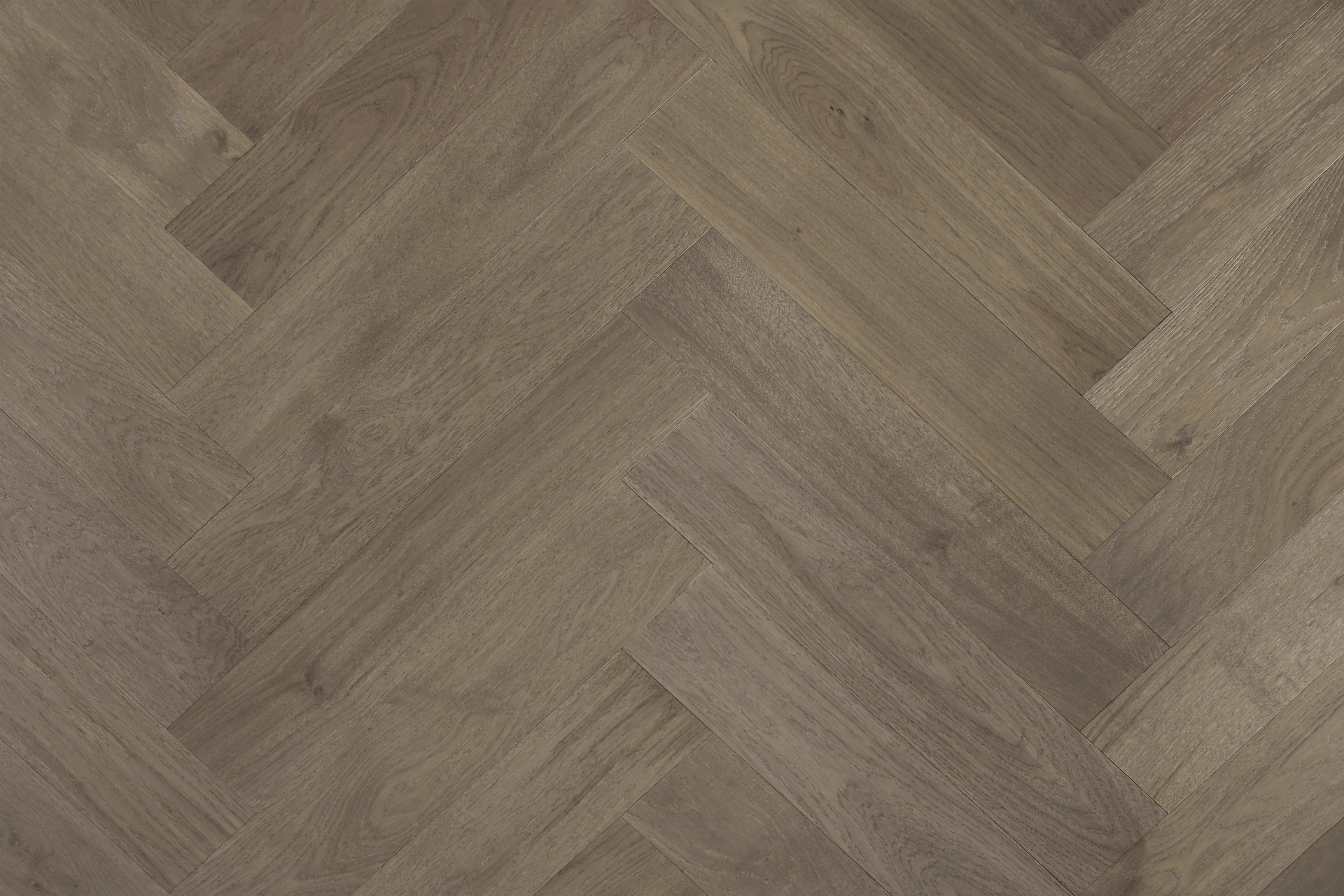 Marrone Oak
