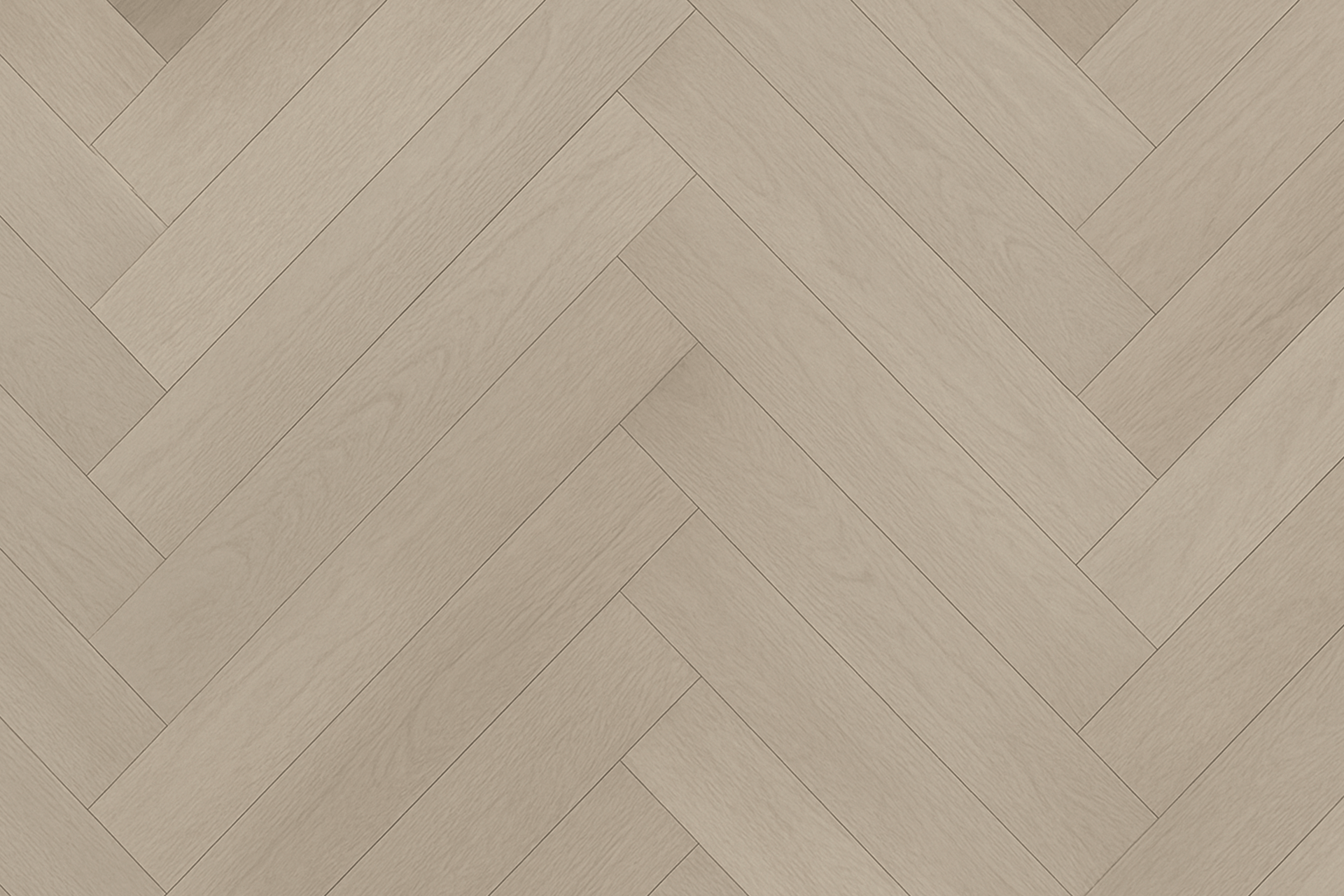 Panania Oak