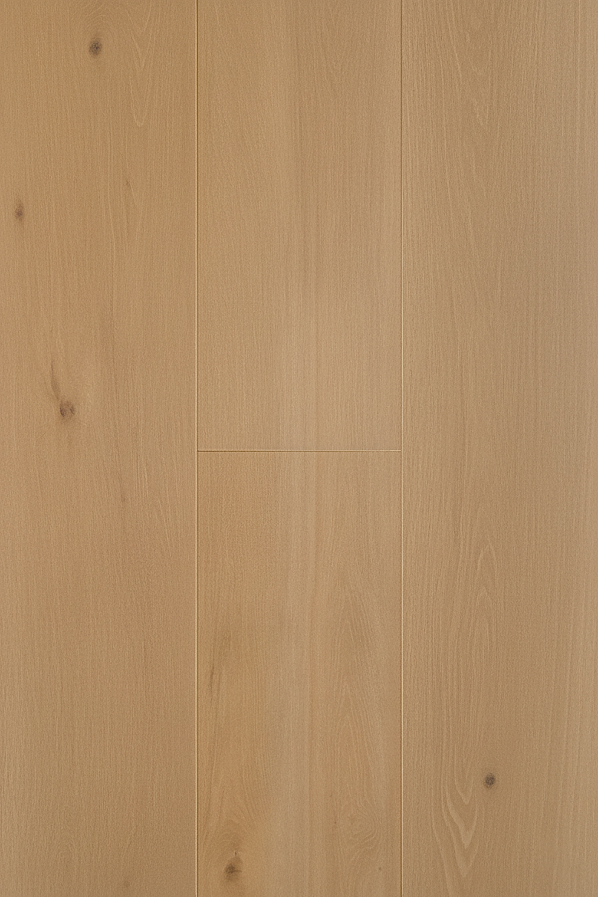 Florence Oak