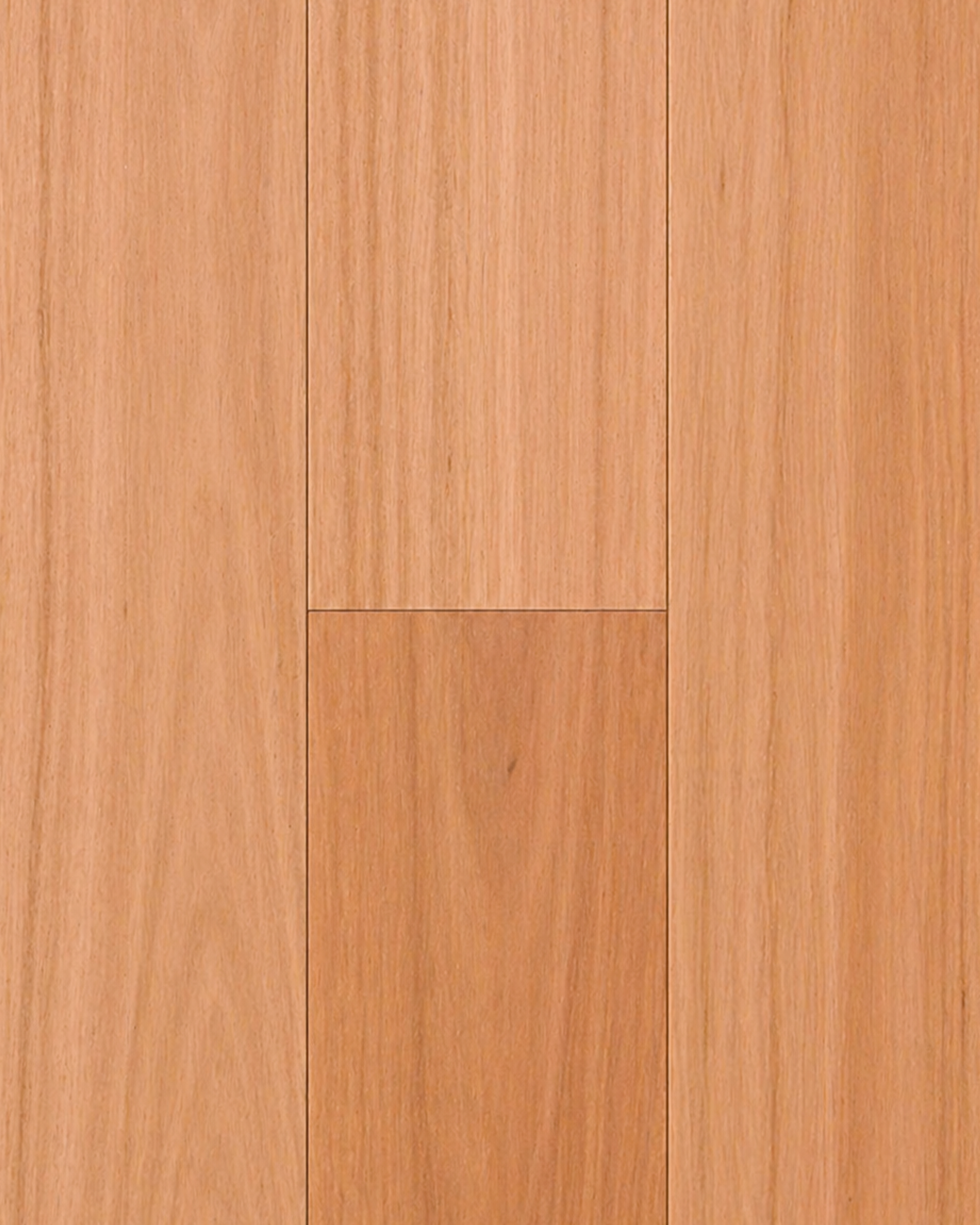 Blackbutt