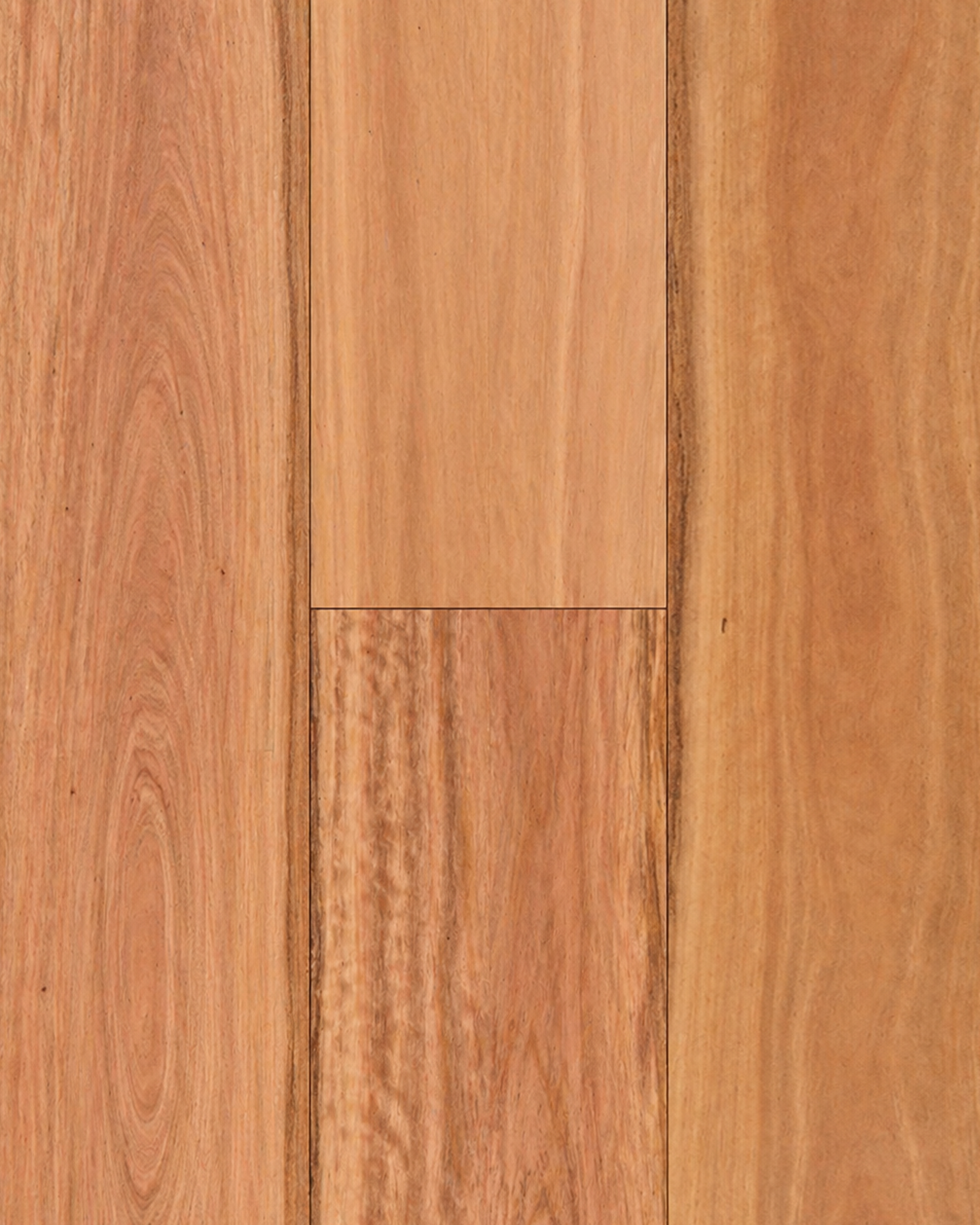Pacific Blackbutt