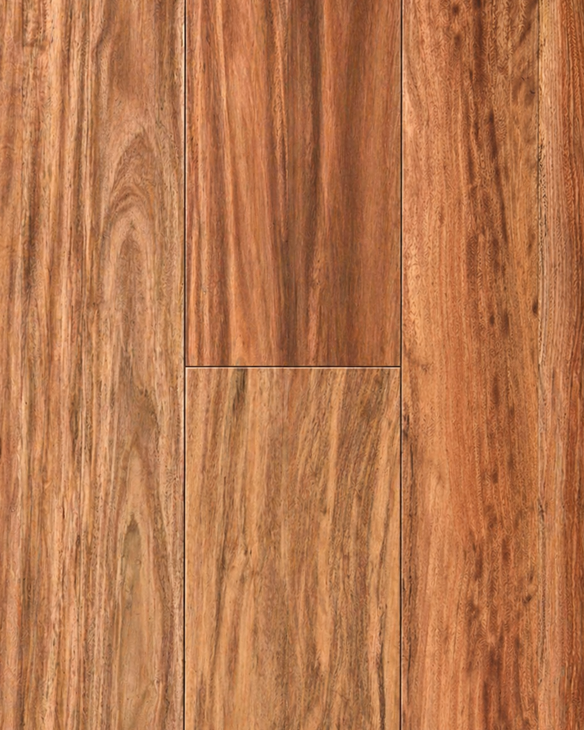 Pacific Spotted Gum