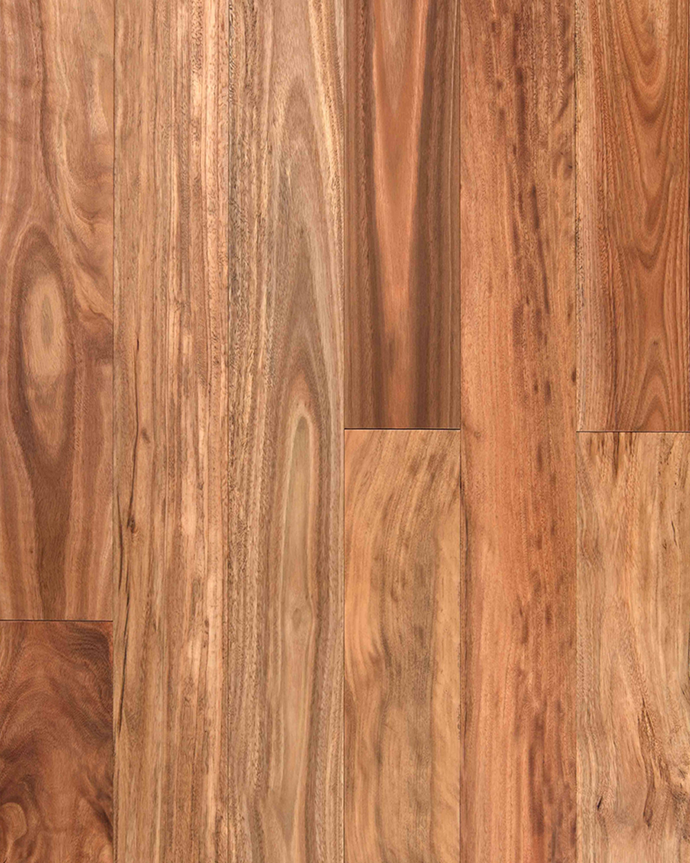 Pacific Spotted Gum