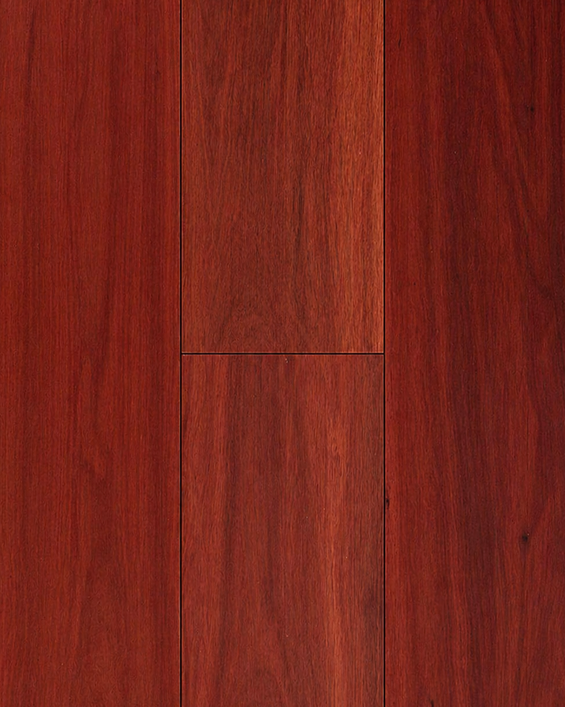 Red Ironbark