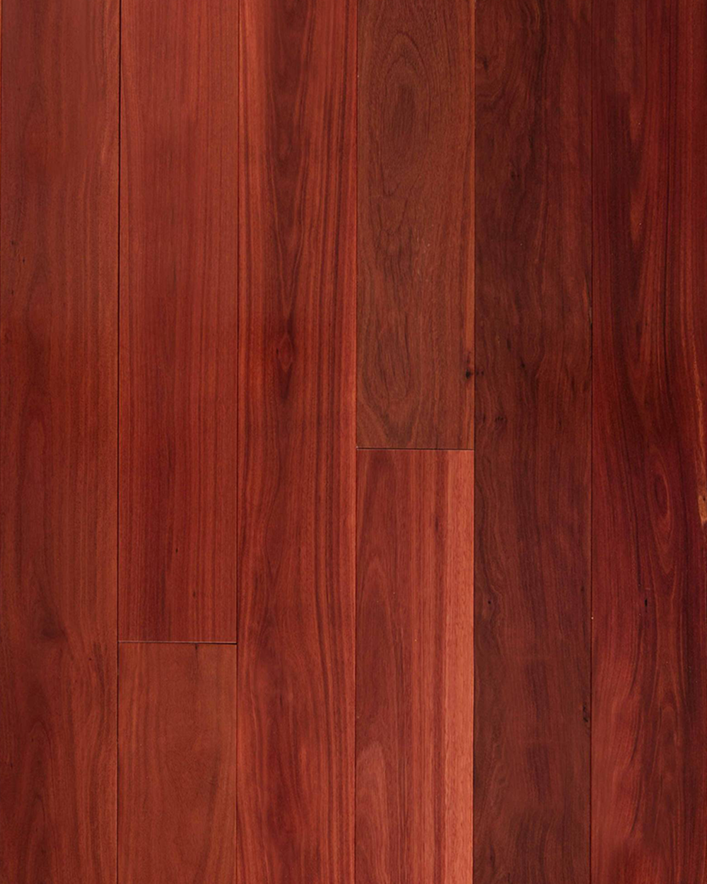 Red Ironbark
