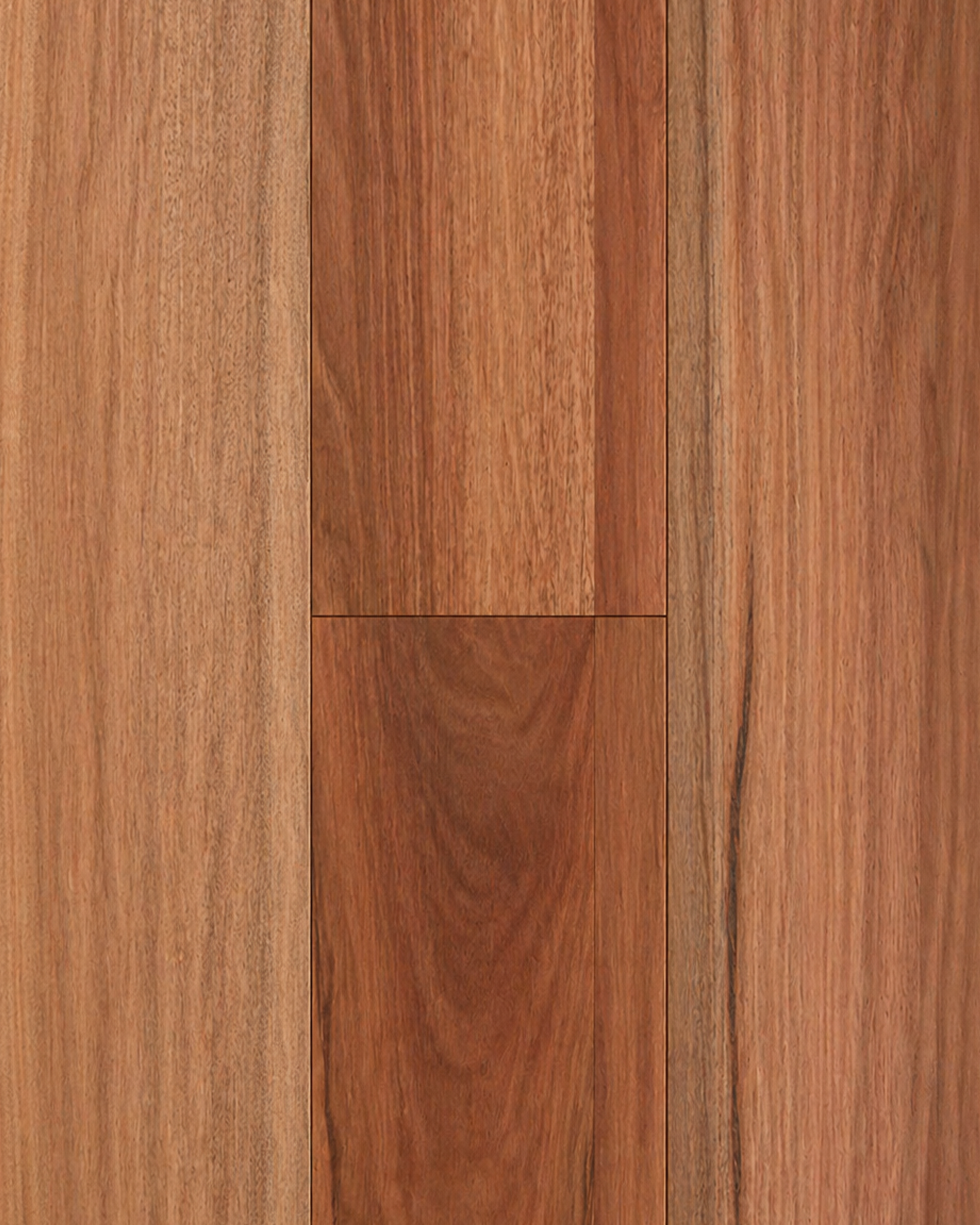 Spotted Gum