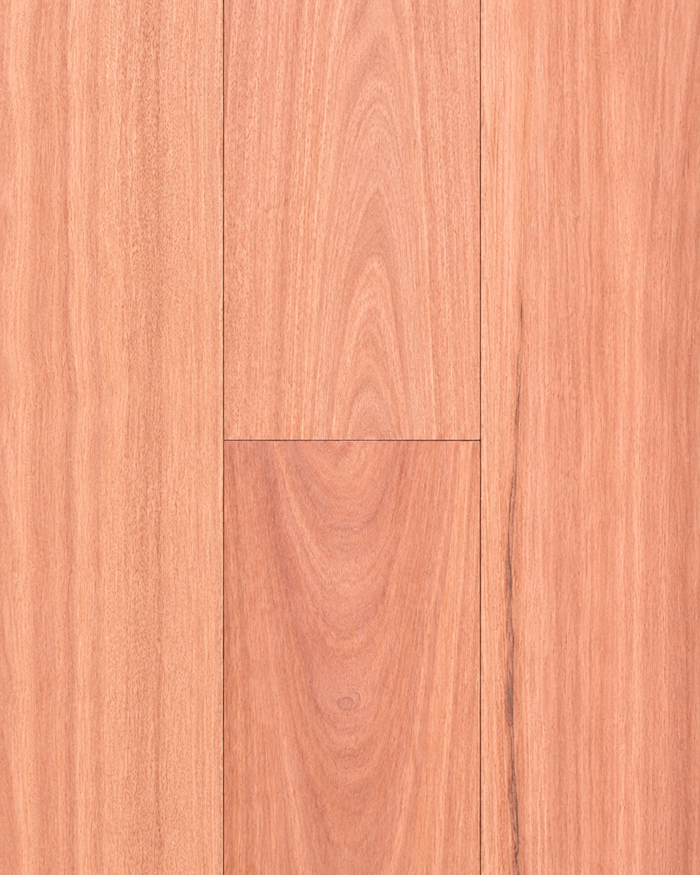 Sydney Blue Gum — Plank 190mm