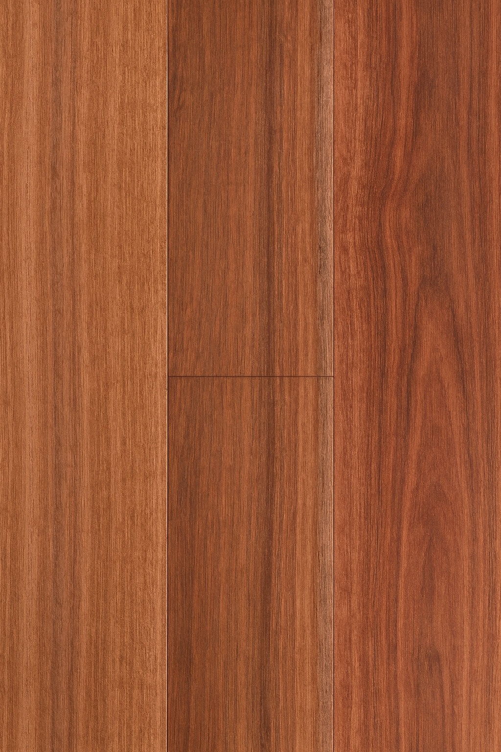 Spotted Gum