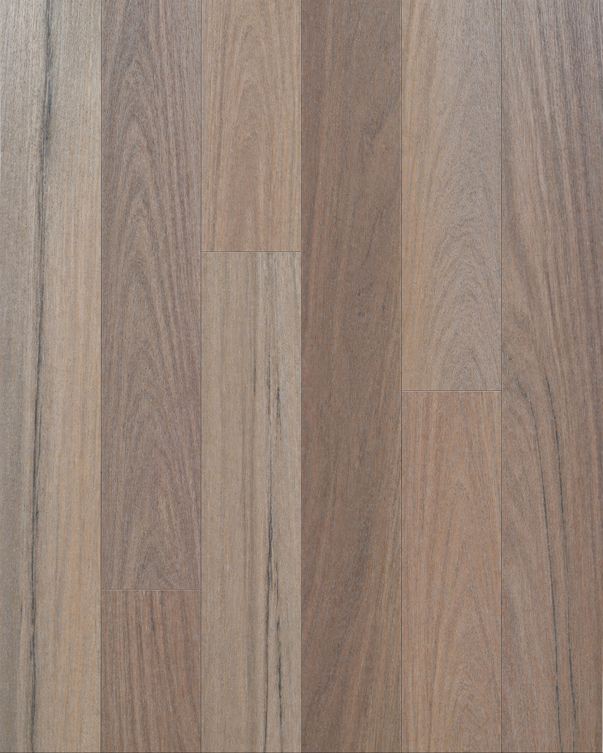 Raw Spotted Gum