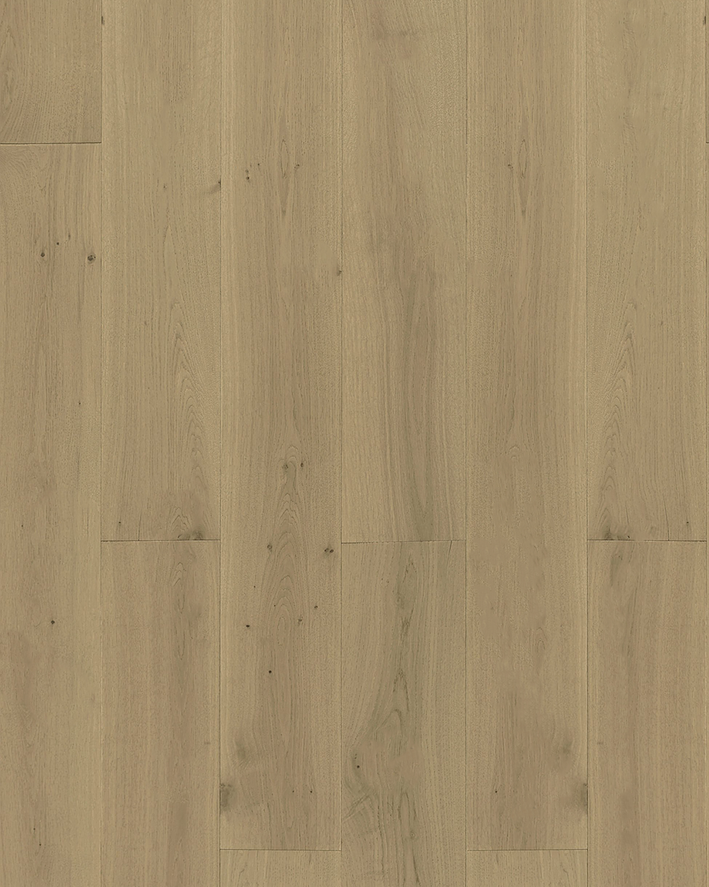 Champagne — Plank