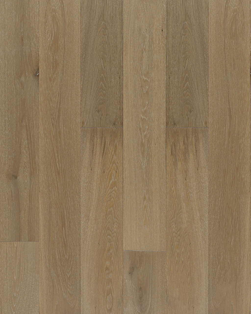Oyster Bay — Plank